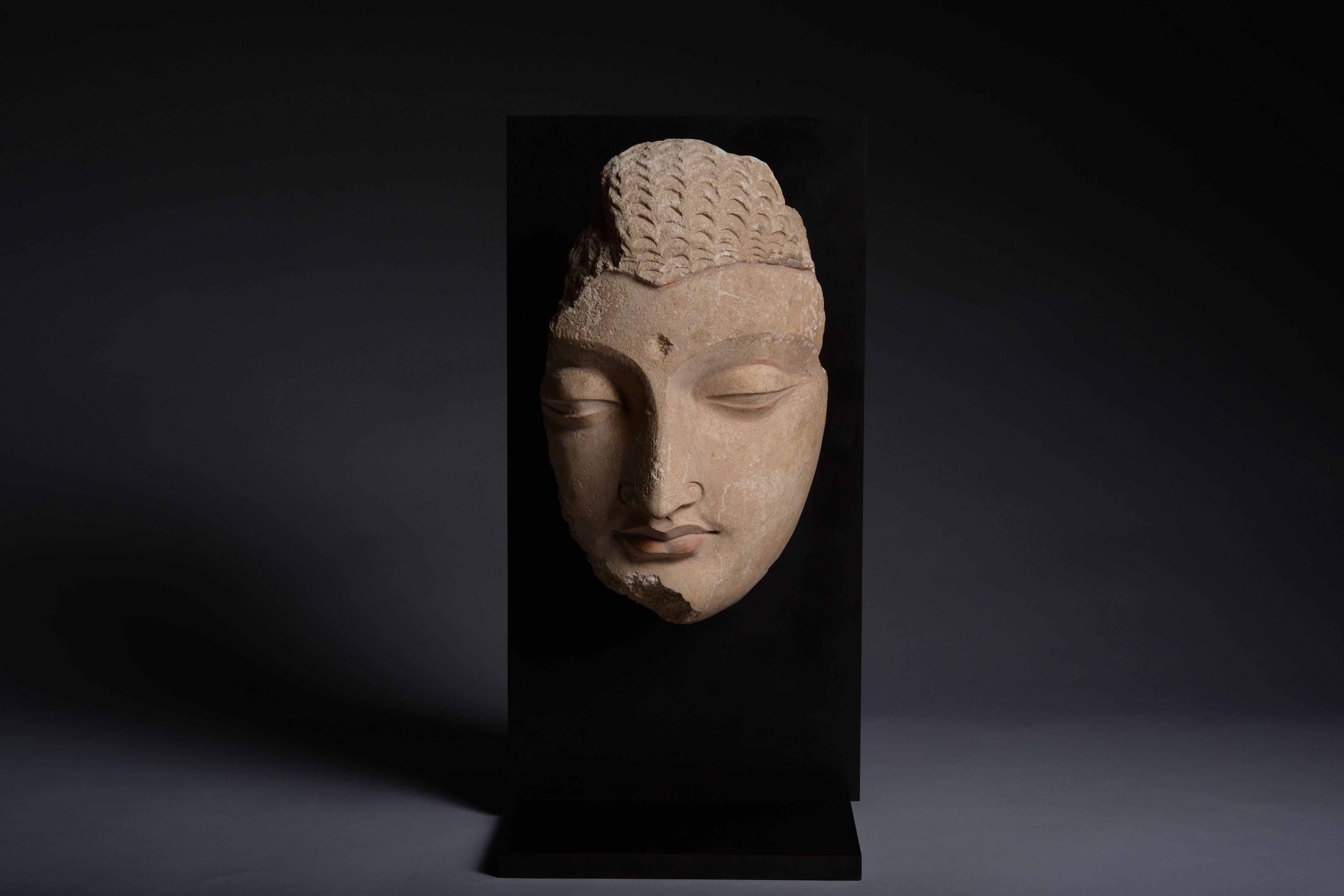 Exceptional Gandharan Stucco Buddha - Black Figurative Sculpture by Unknown