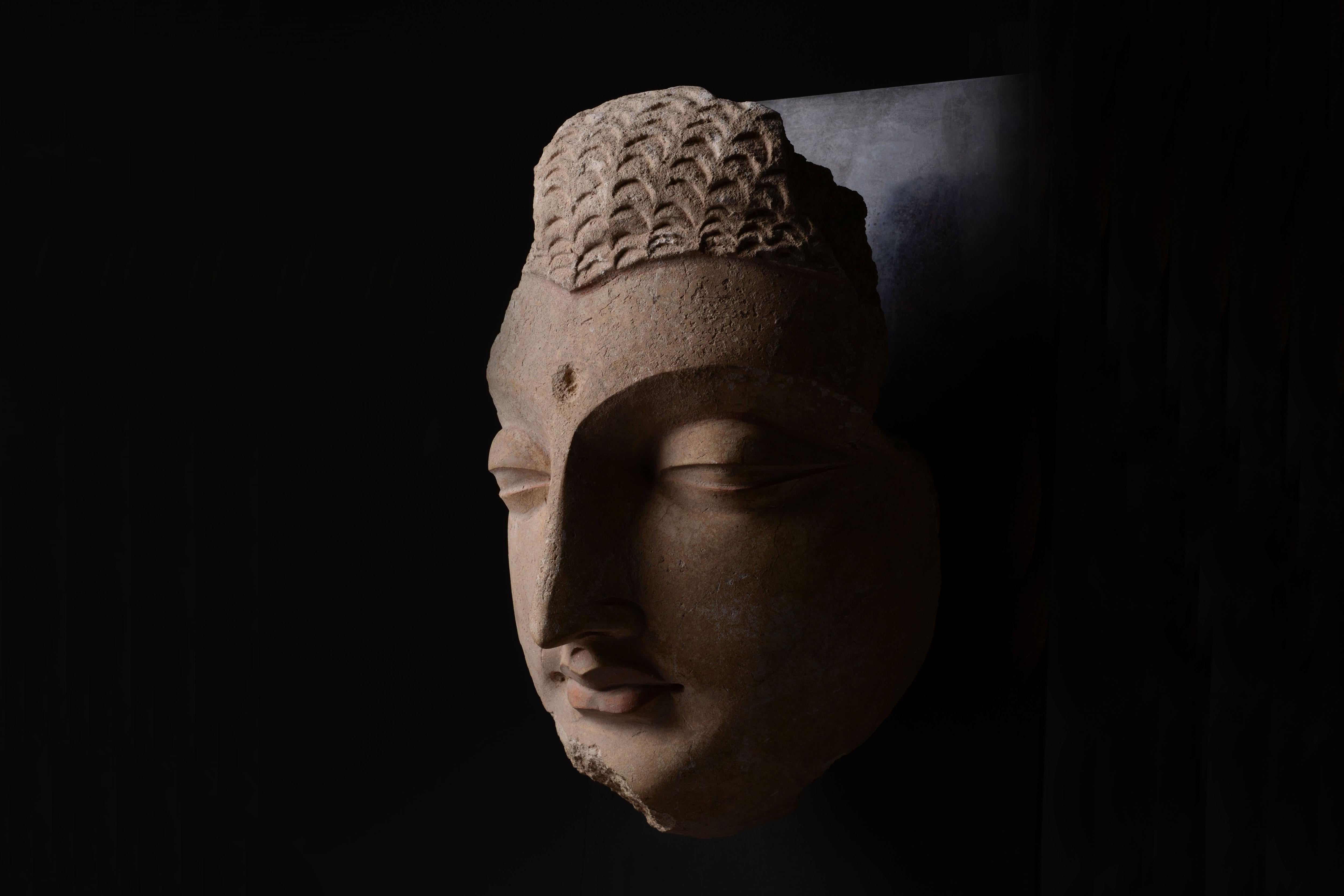 This head of Gautama Buddha, sensuously modelled in stucco, is an exceptional example of Gandharan devotional sculpture. Depicted with large, heavy-lidded eyes, an aquiline nose, and plump red lips, the Buddha exudes serenity and otherworldly
