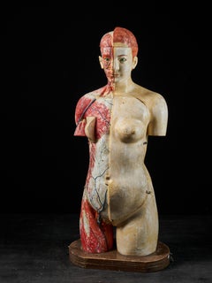 Vintage Female Life-size Anatomical Écorche Torso Model, Shimadzu Company, Japan