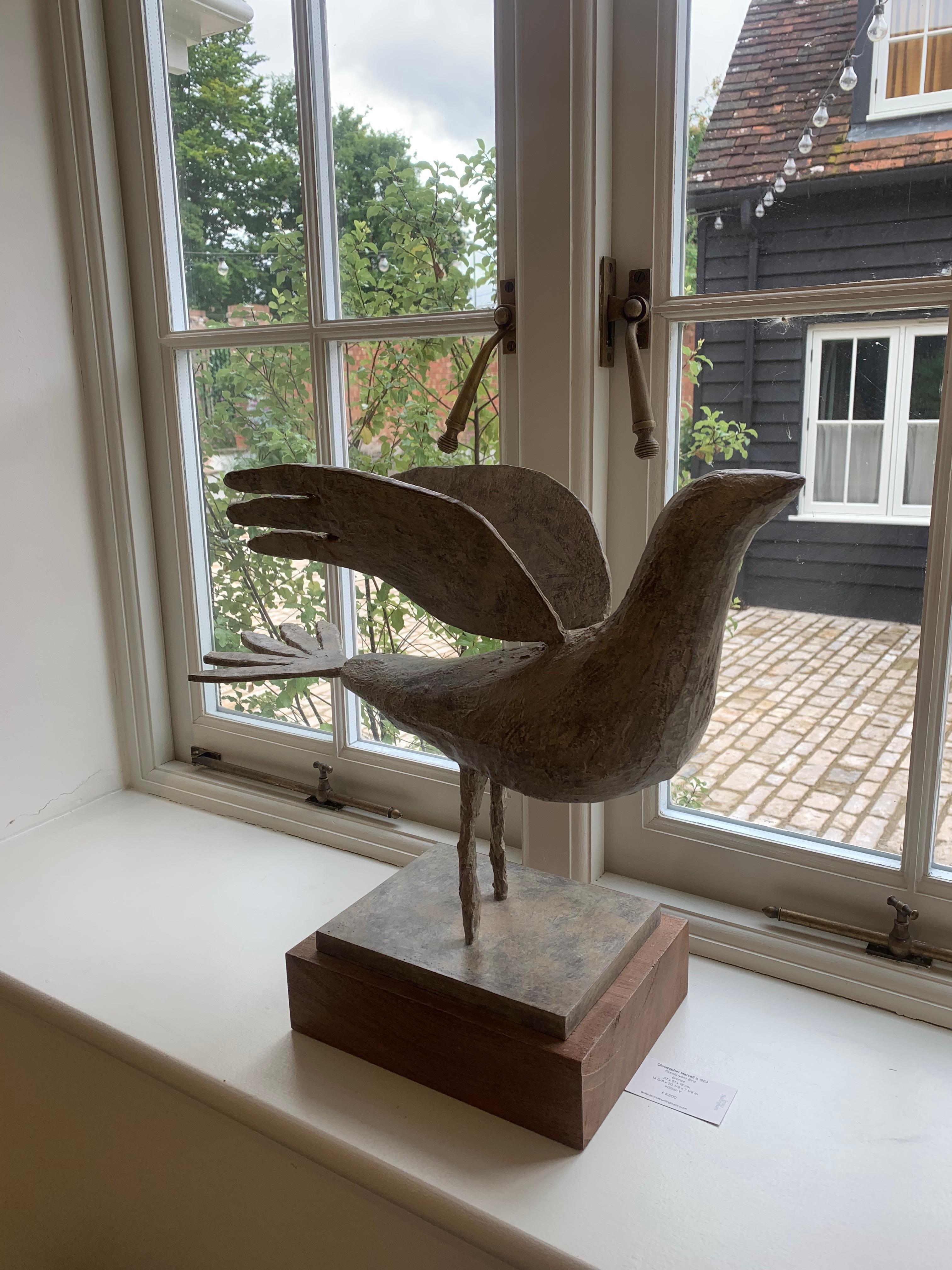 Flamboyant Bird, scultura in bronzo di Christophe Marvell

Informazioni aggiuntive:
Mezzo: Bronzo 37 x 51 x 18 cm
14 5/8 x 20 1/8 x 7 1/8 in
Edizione V.I.I.

Christophe Marvell è nato nel 1964 e ha studiato all'Università di Newcastle upon Tyne dal