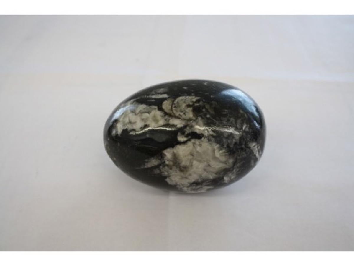 Unknown Abstract Sculpture - Fossil Egg-Stone