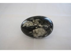Fossil Egg-Ammonite Stone