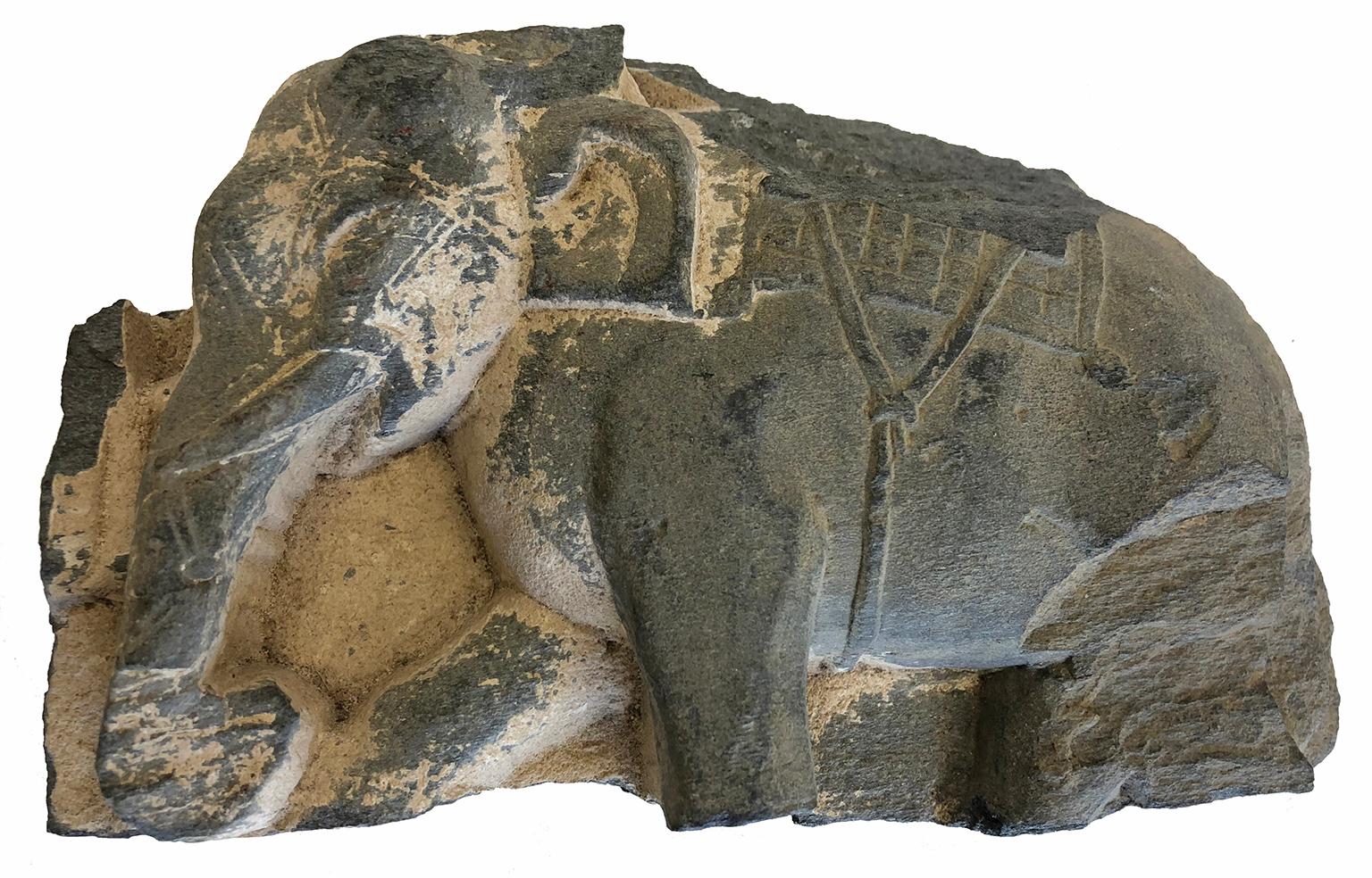 Fragment  of an Elephant - Gandhara - Sculpture - Grey Schist - 1-2nd Century - Other Art Style Art by Unknown