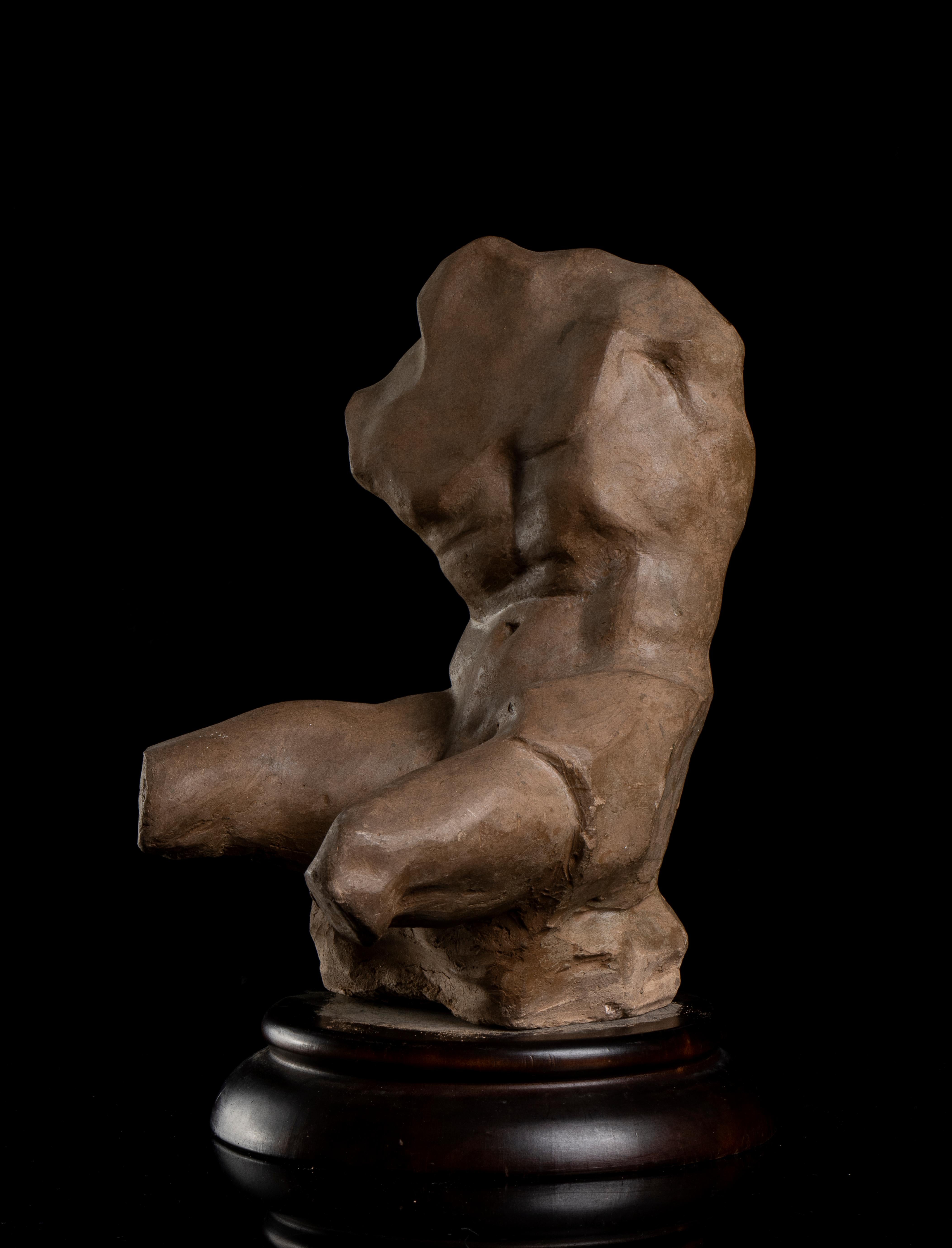 French Terracotta Sculpture Studio Torso Belvedere Grand Tour Style 19th Century For Sale 8