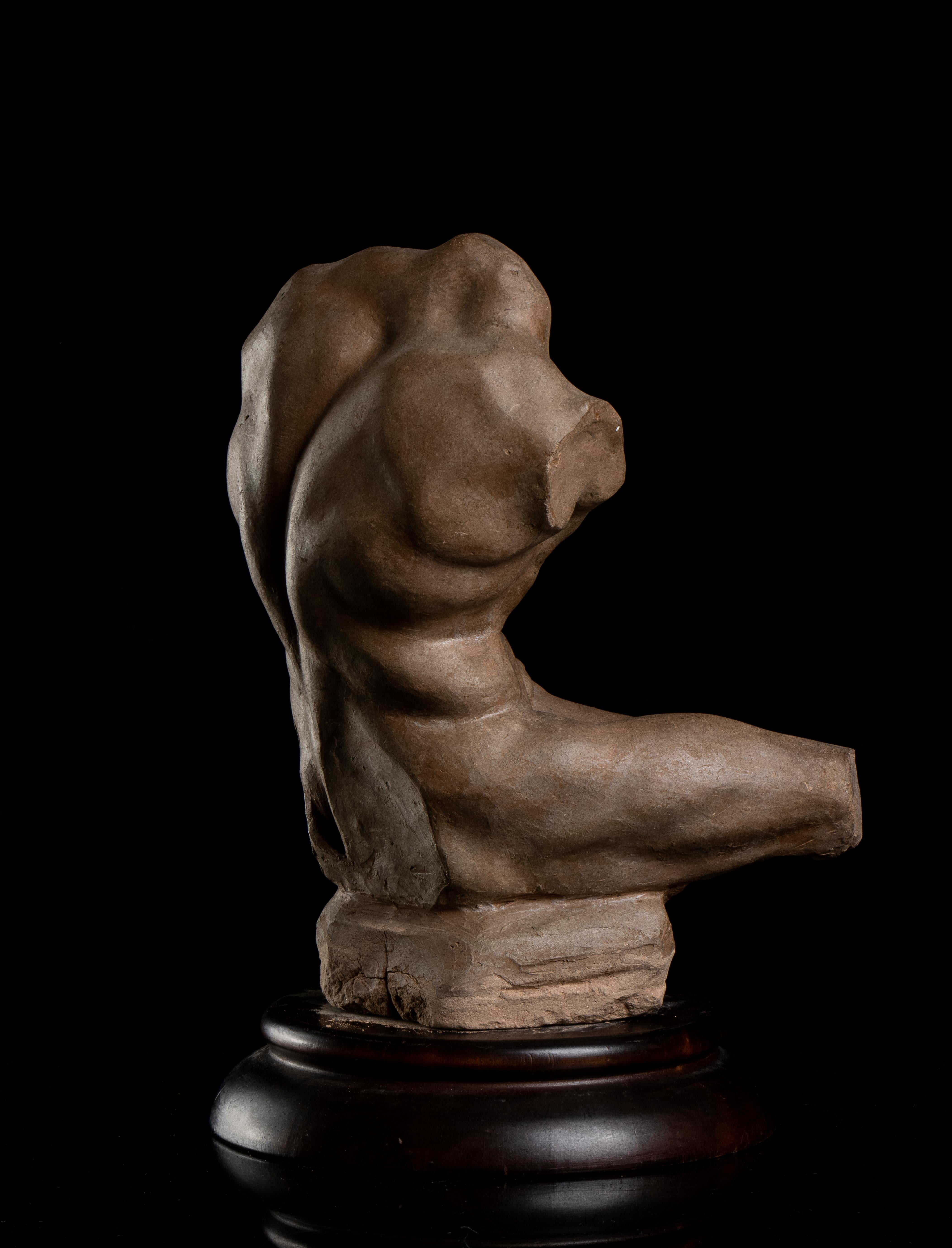 French Terracotta Sculpture Studio Torso Belvedere Grand Tour Style 19th Century For Sale 2