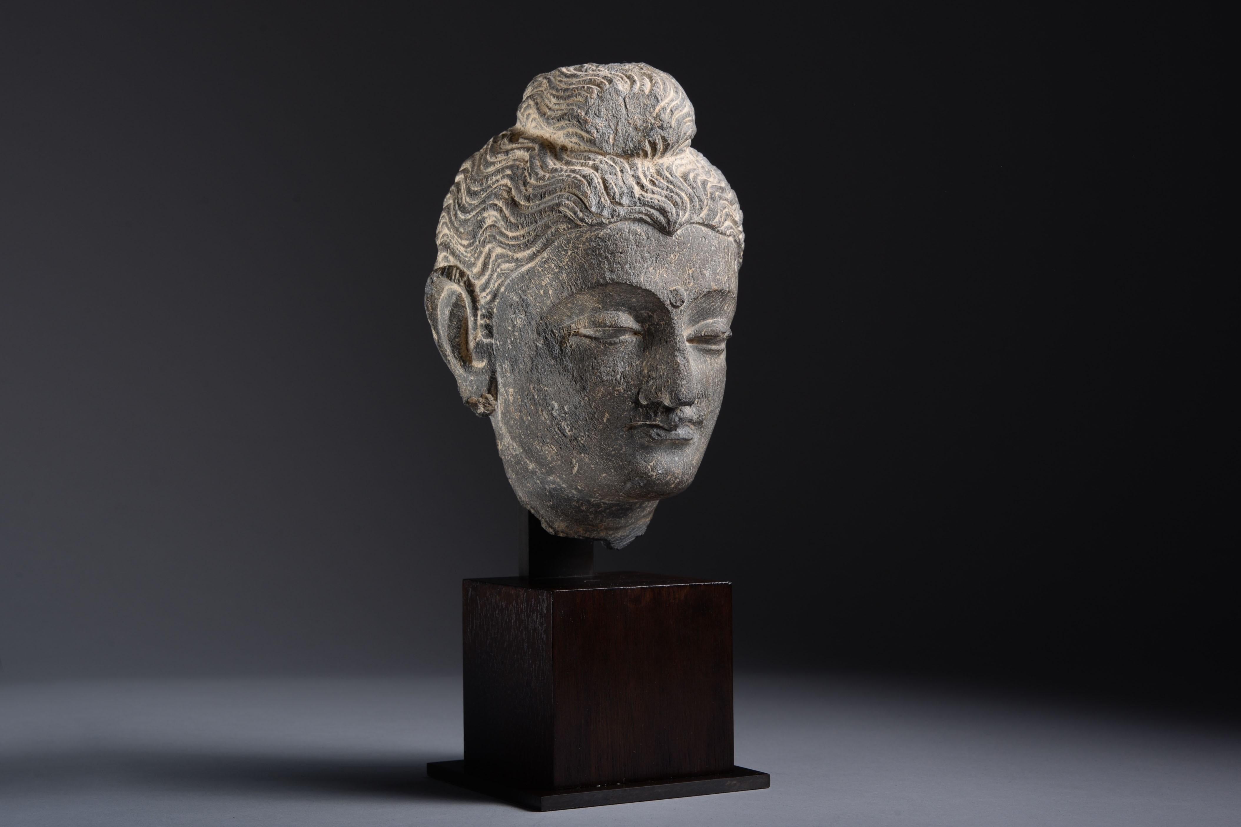 Gandharan Schist Head of Buddha - Sculpture by Unknown