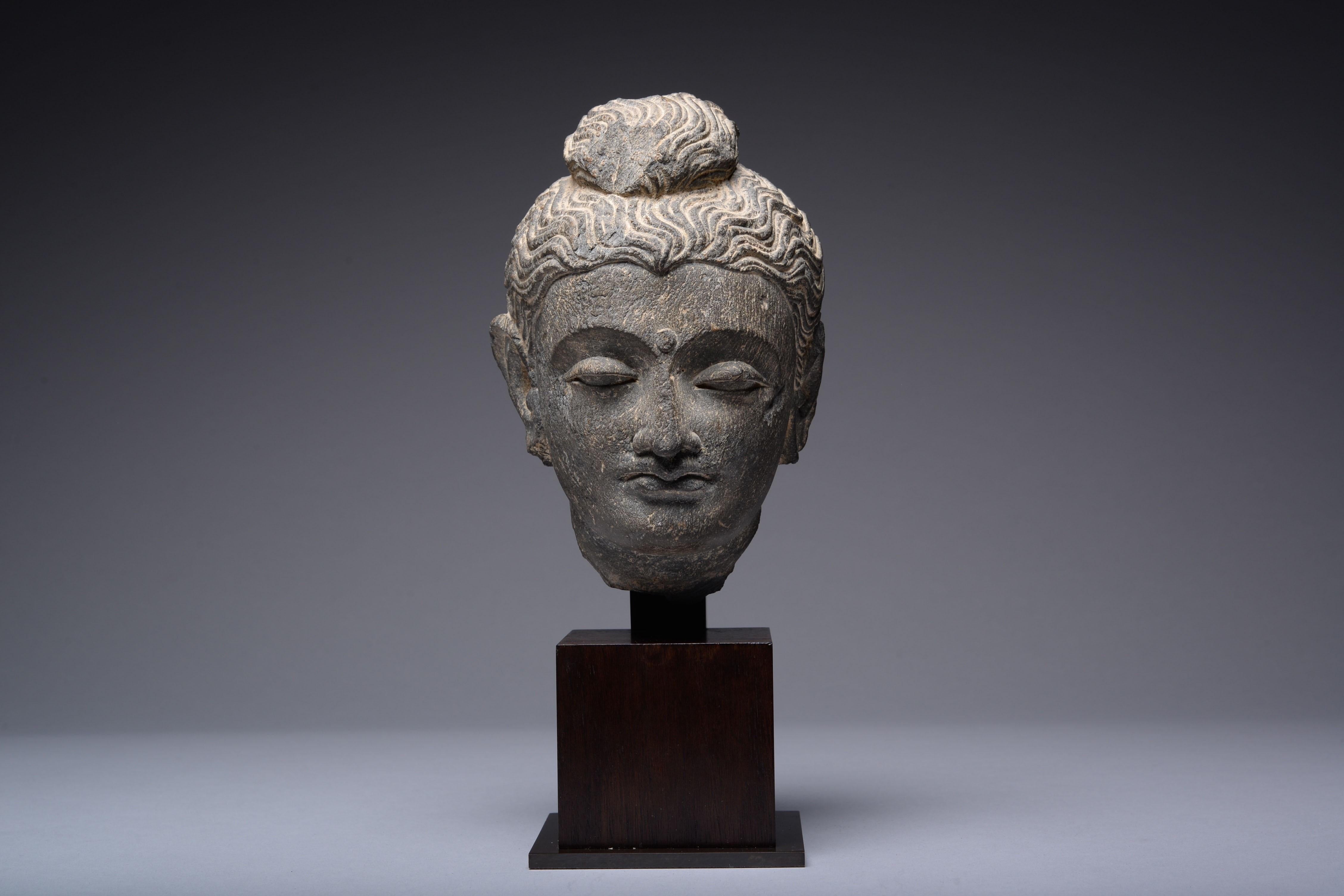 Unknown Figurative Sculpture - Gandharan Schist Head of Buddha