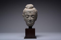 Tête de Bouddha en Schiste Gandharan