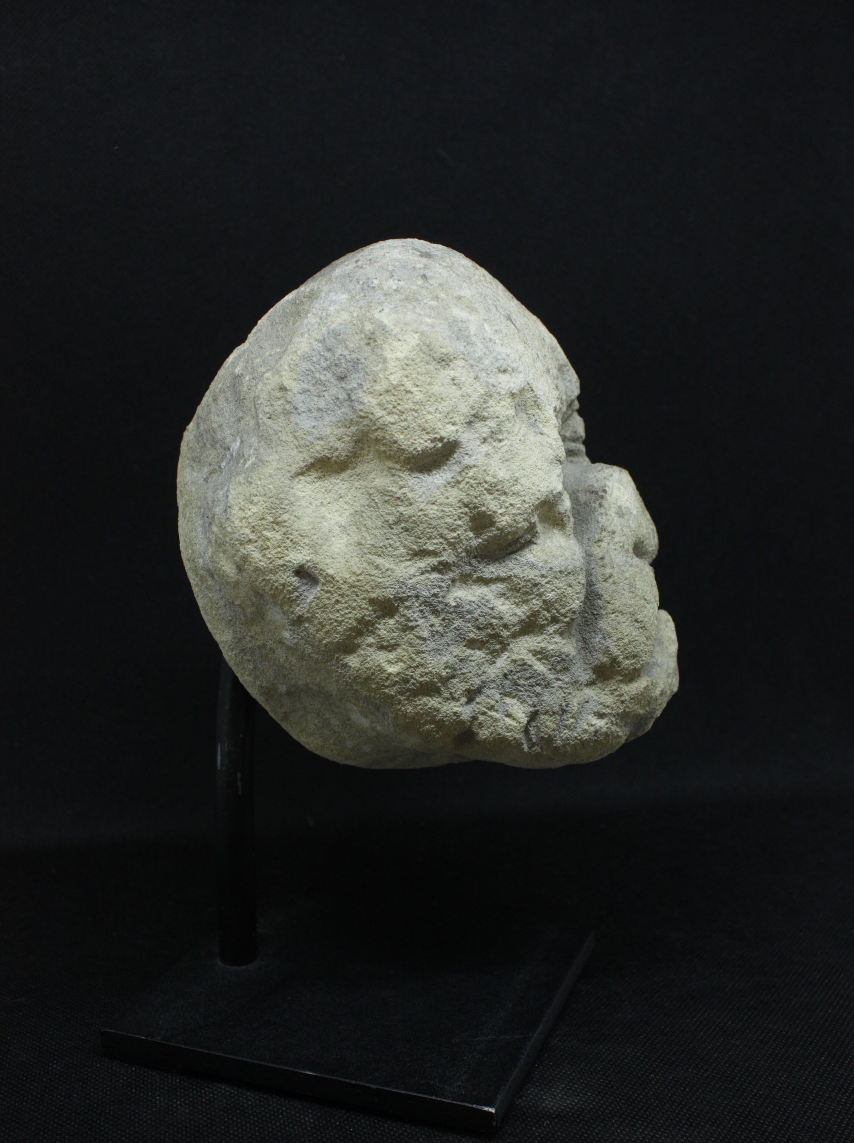 Gargouille gotica del XIV secolo in pietra calcarea - Sculpture di Unknown