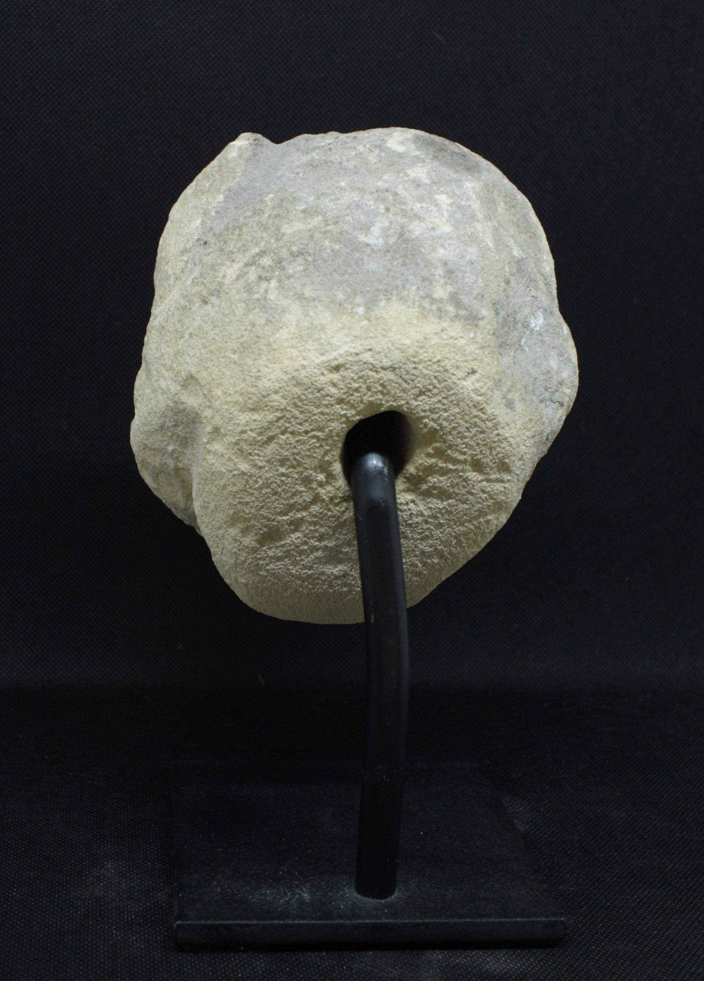 Gargouille gotica del XIV secolo in pietra calcarea - Sculpture Scuola francese di Unknown