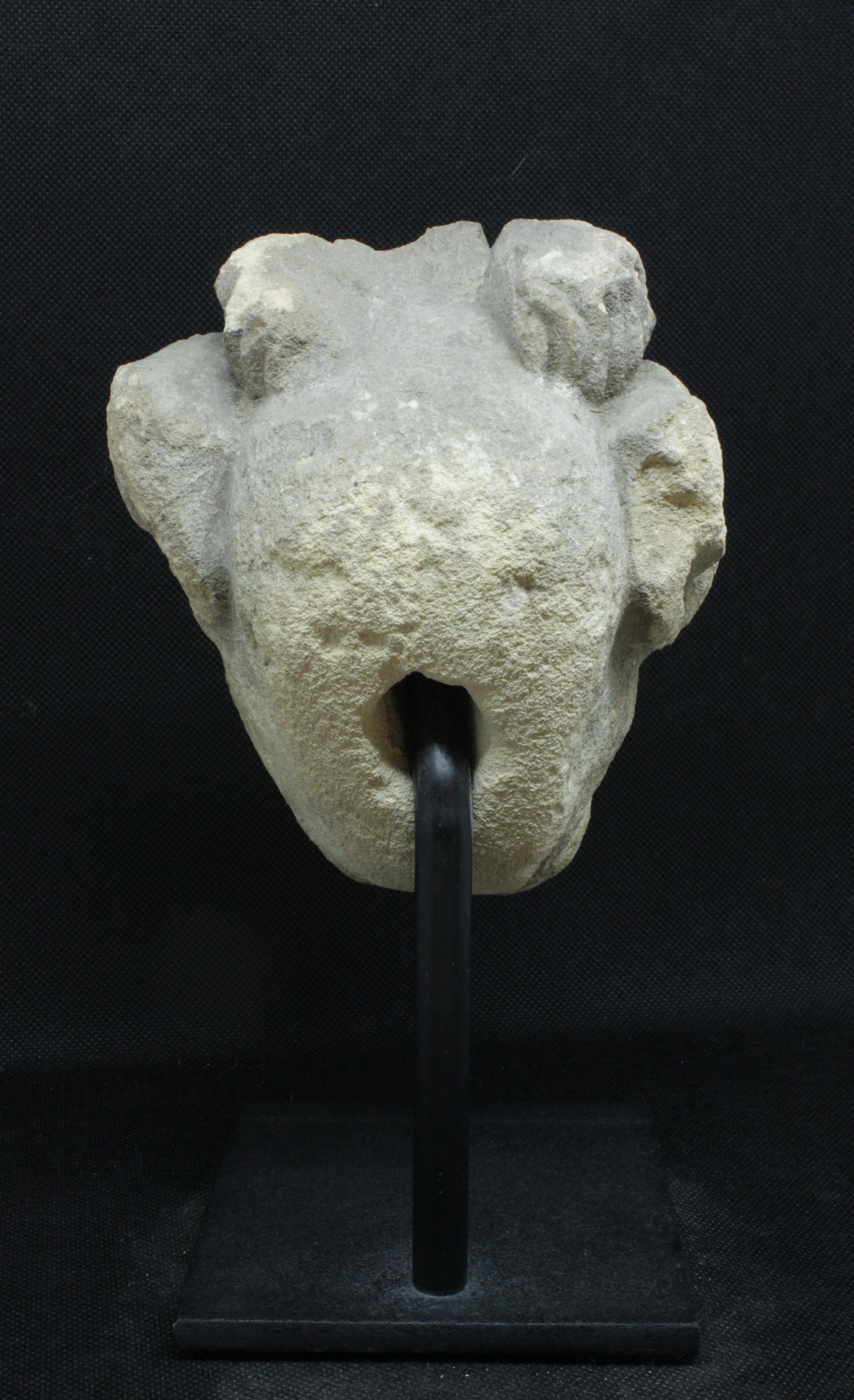 Gargouille gotica del XIV secolo in pietra calcarea - Sculpture Scuola francese di Unknown