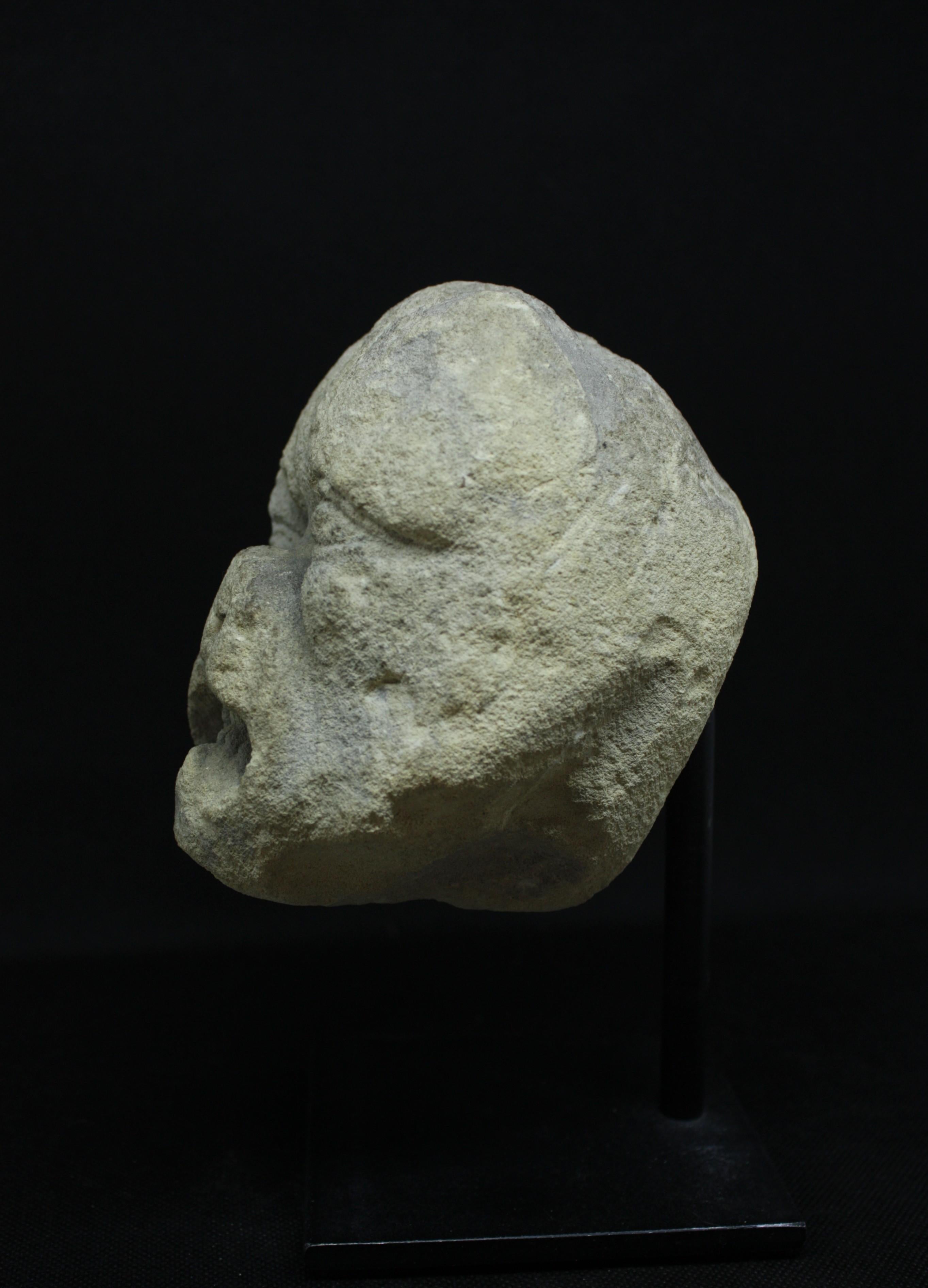 Gargouille gotica del XIV secolo in pietra calcarea - Figurative Sculpture Black di Unknown