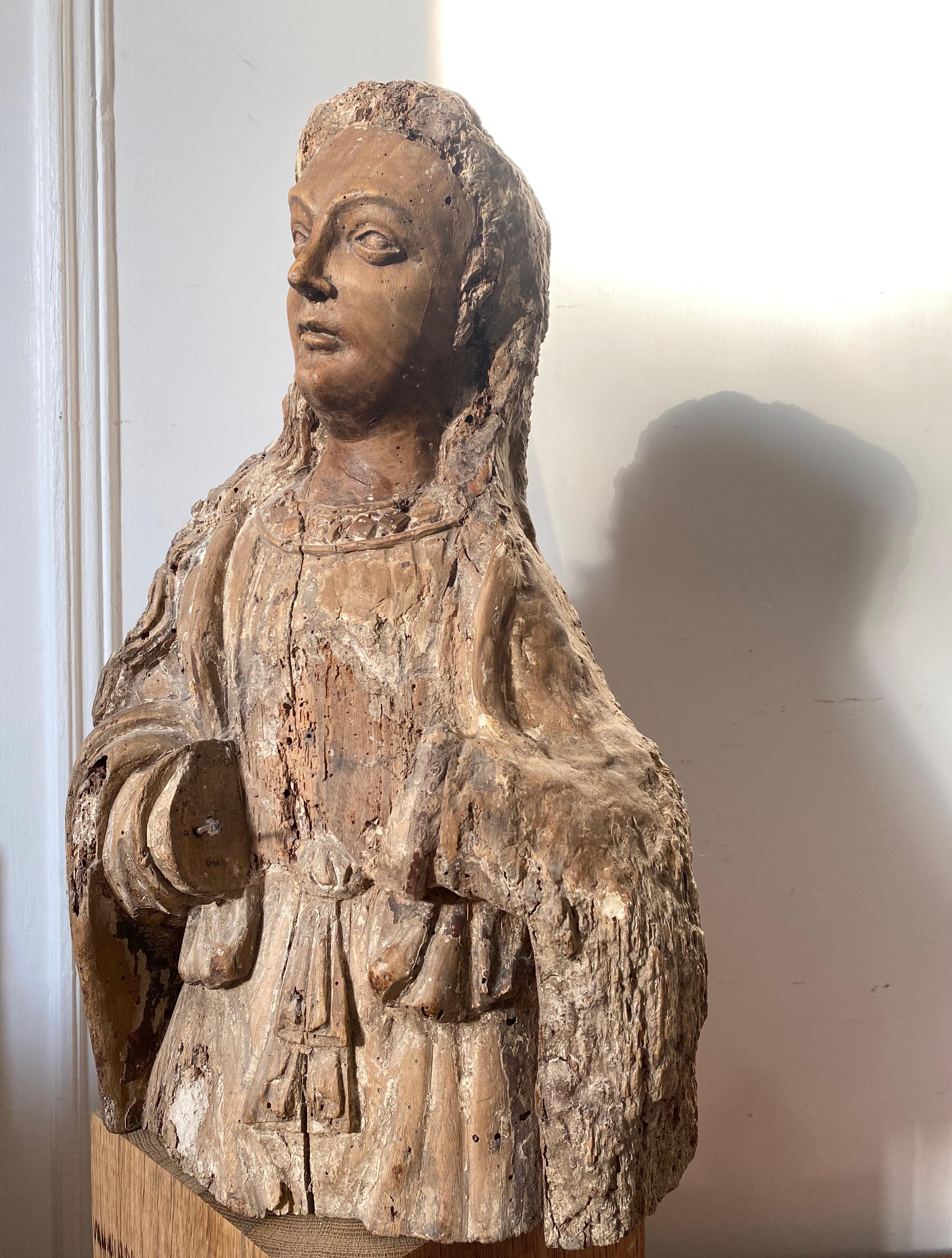 Escultura gótica renacentista de madera: busto de un joven santo o ángel - Sculpture de Unknown