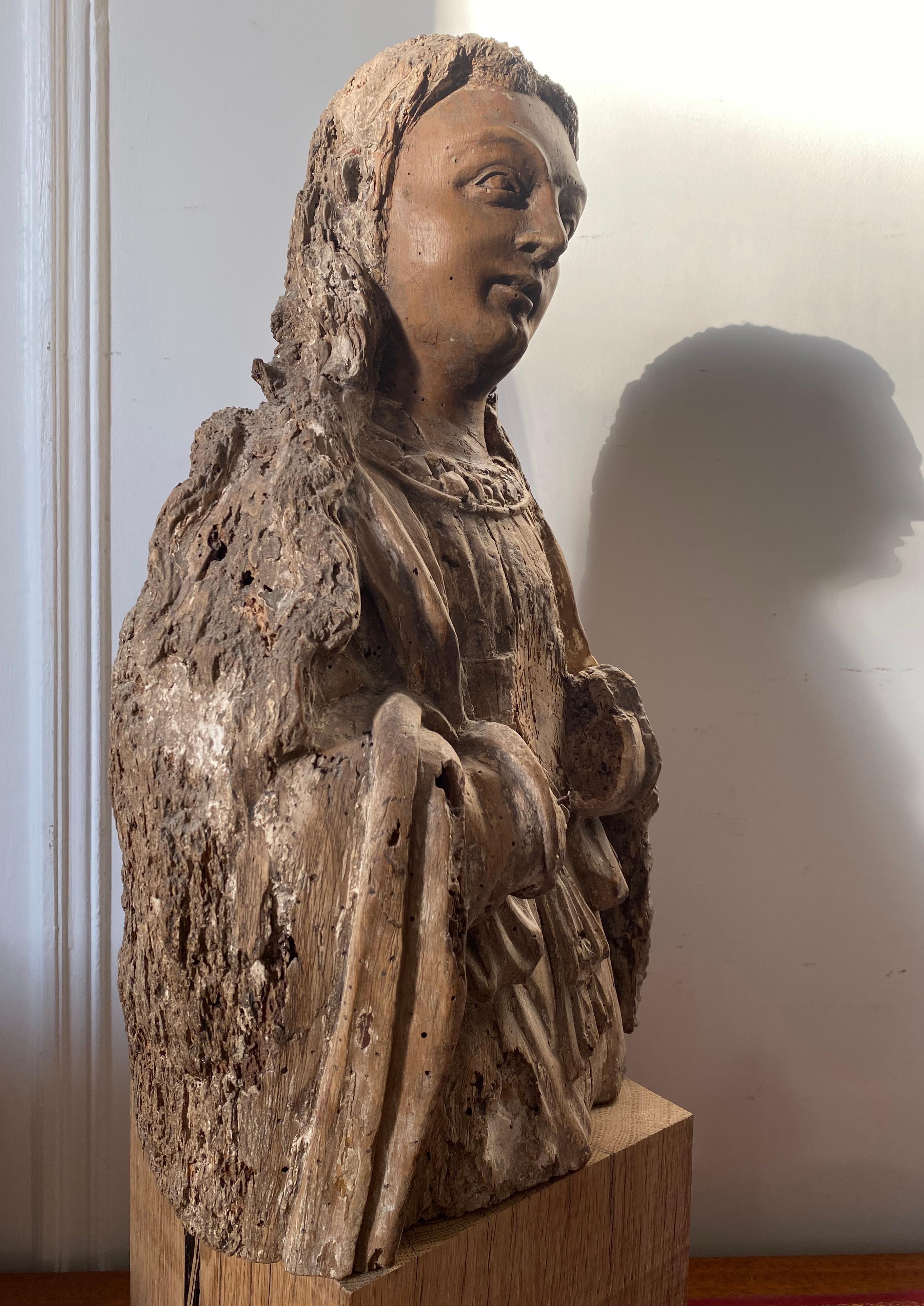 Escultura gótica renacentista de madera: busto de un joven santo o ángel - Figurative Sculpture Marrón de Unknown