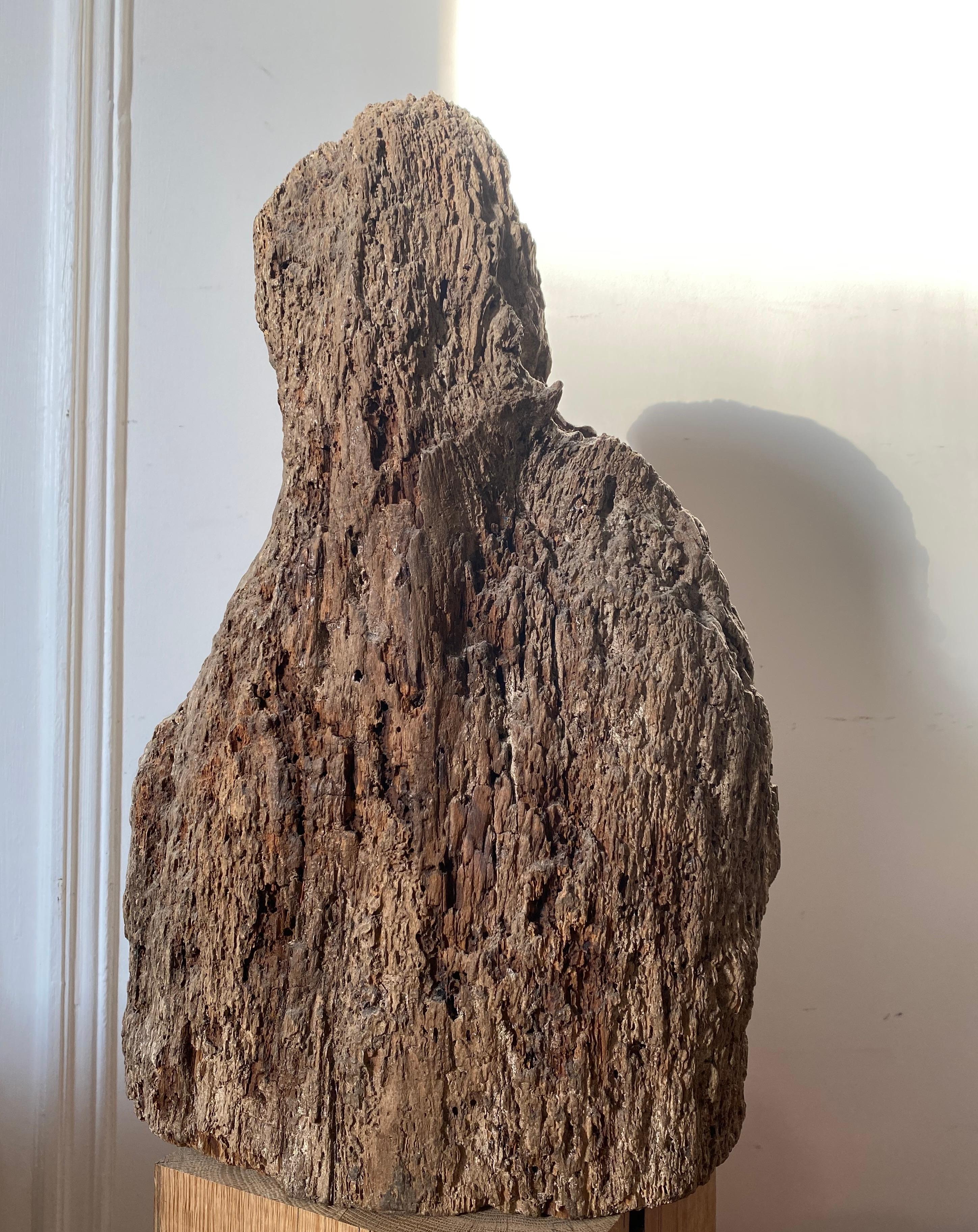 Escultura gótica renacentista de madera: busto de un joven santo o ángel en venta 2