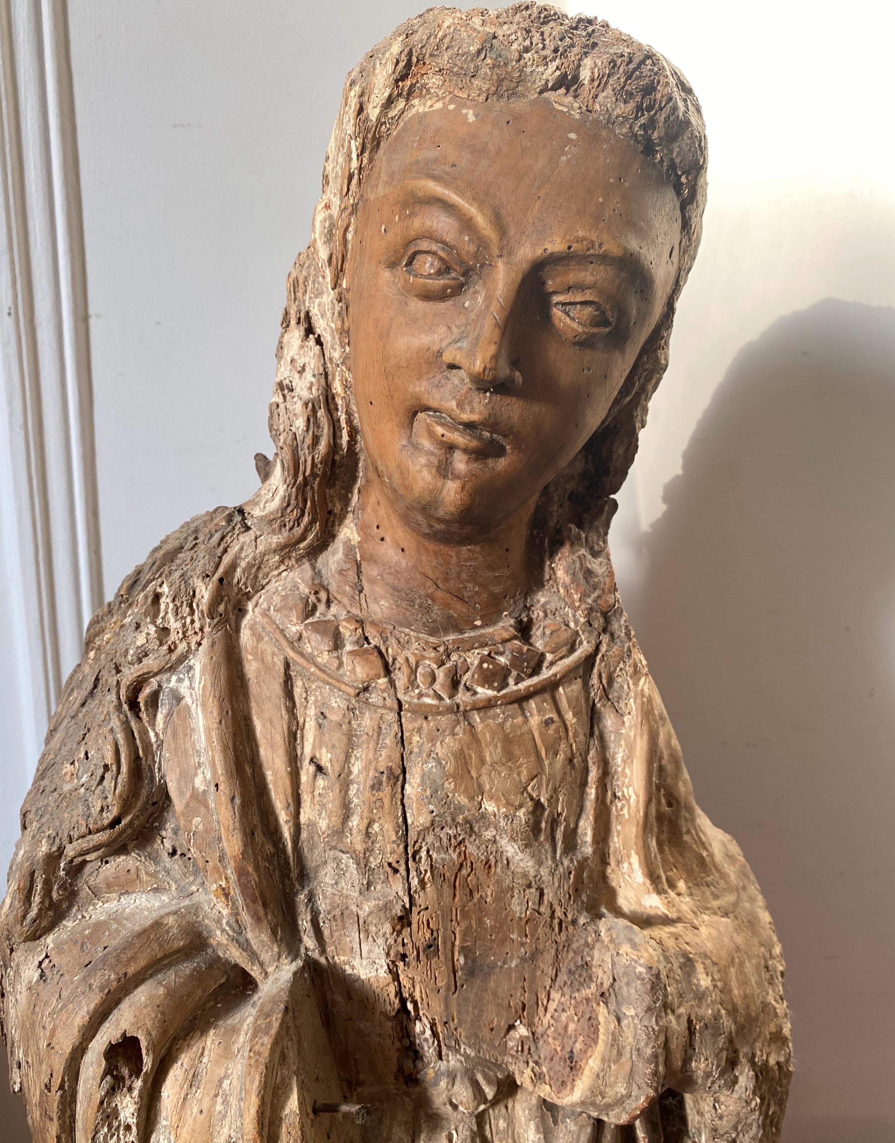 Escultura gótica renacentista de madera: busto de un joven santo o ángel en venta 3