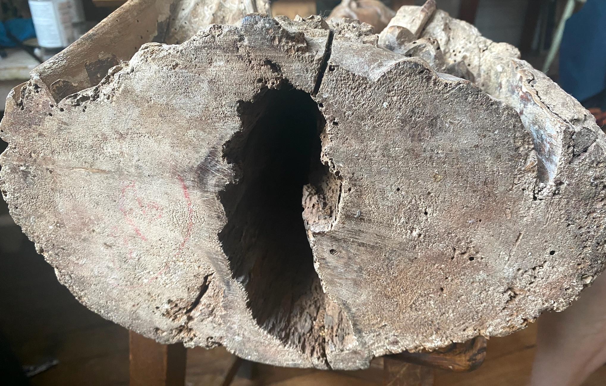 Escultura gótica renacentista de madera: busto de un joven santo o ángel en venta 4