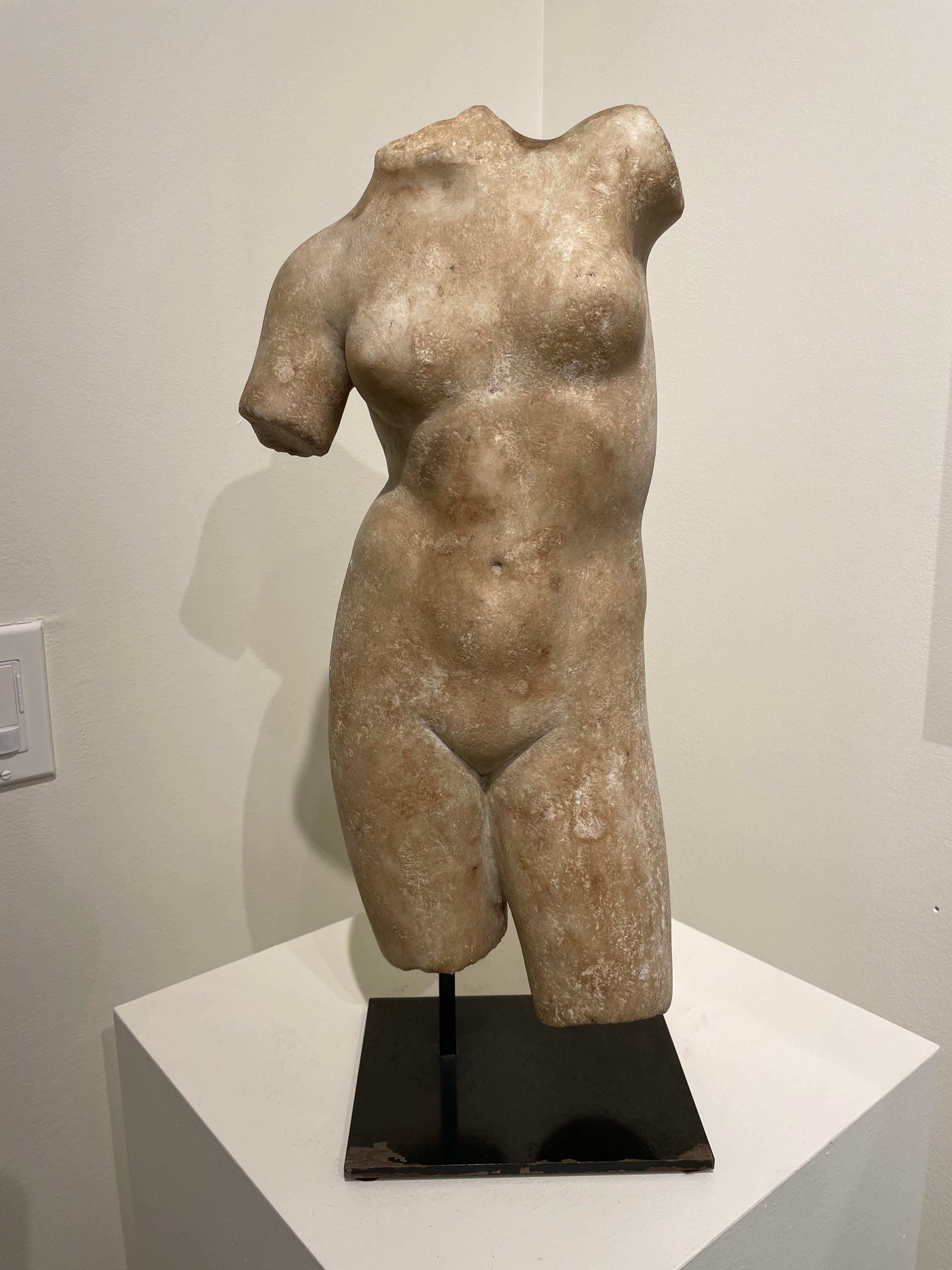 Grand Tour Torso of Aphrodite/Venus After the Antiquity, 19th Century 11