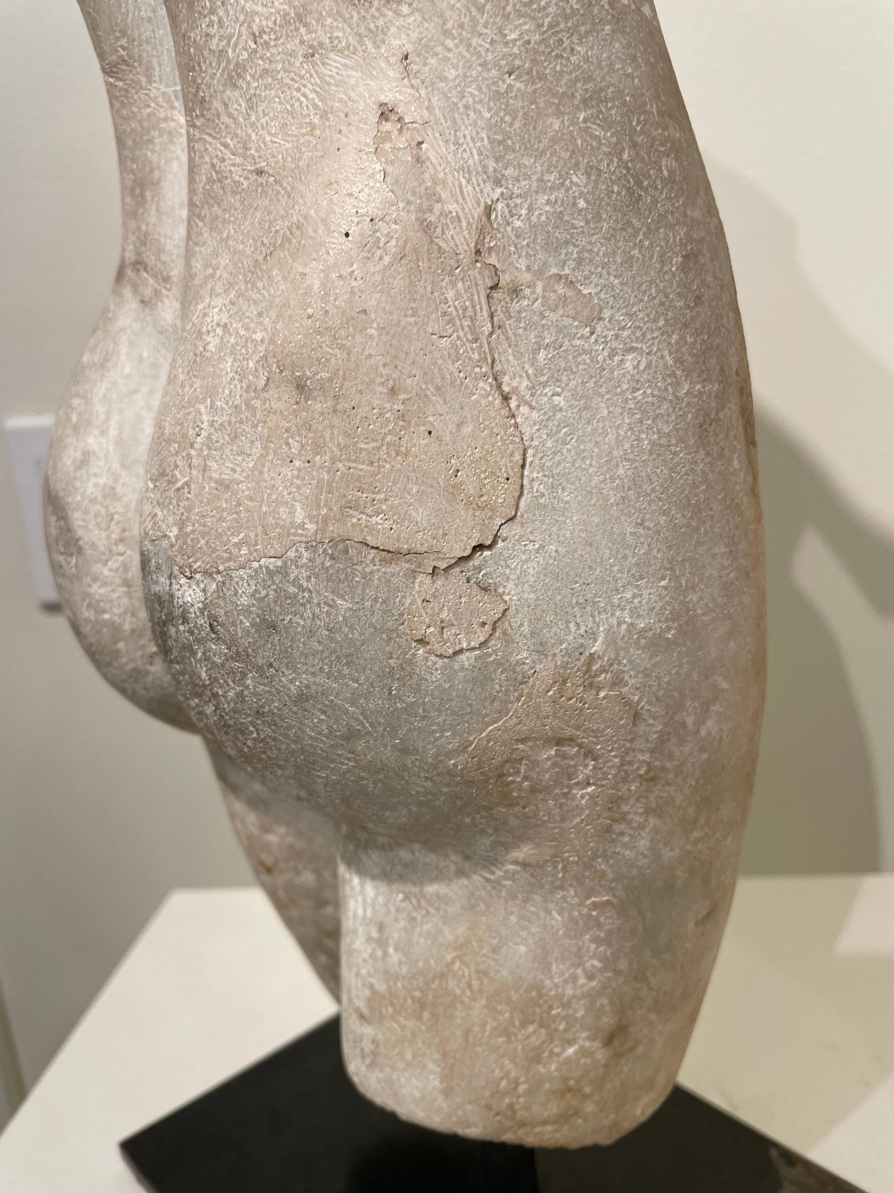 Grand Tour Torso of Aphrodite/Venus After the Antiquity, 19th Century 12