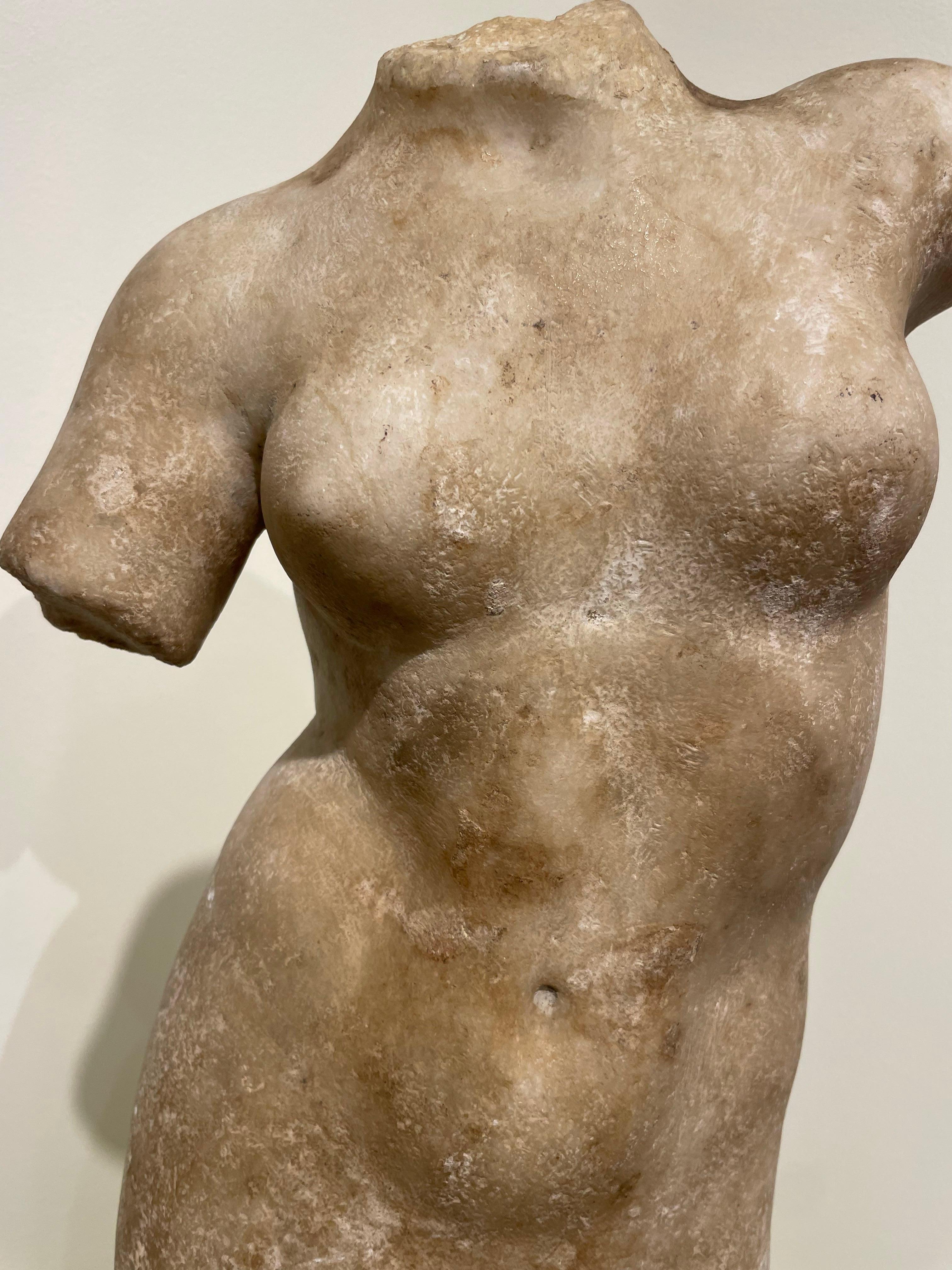 Grand Tour Torso of Aphrodite/Venus After the Antiquity, 19th Century 13