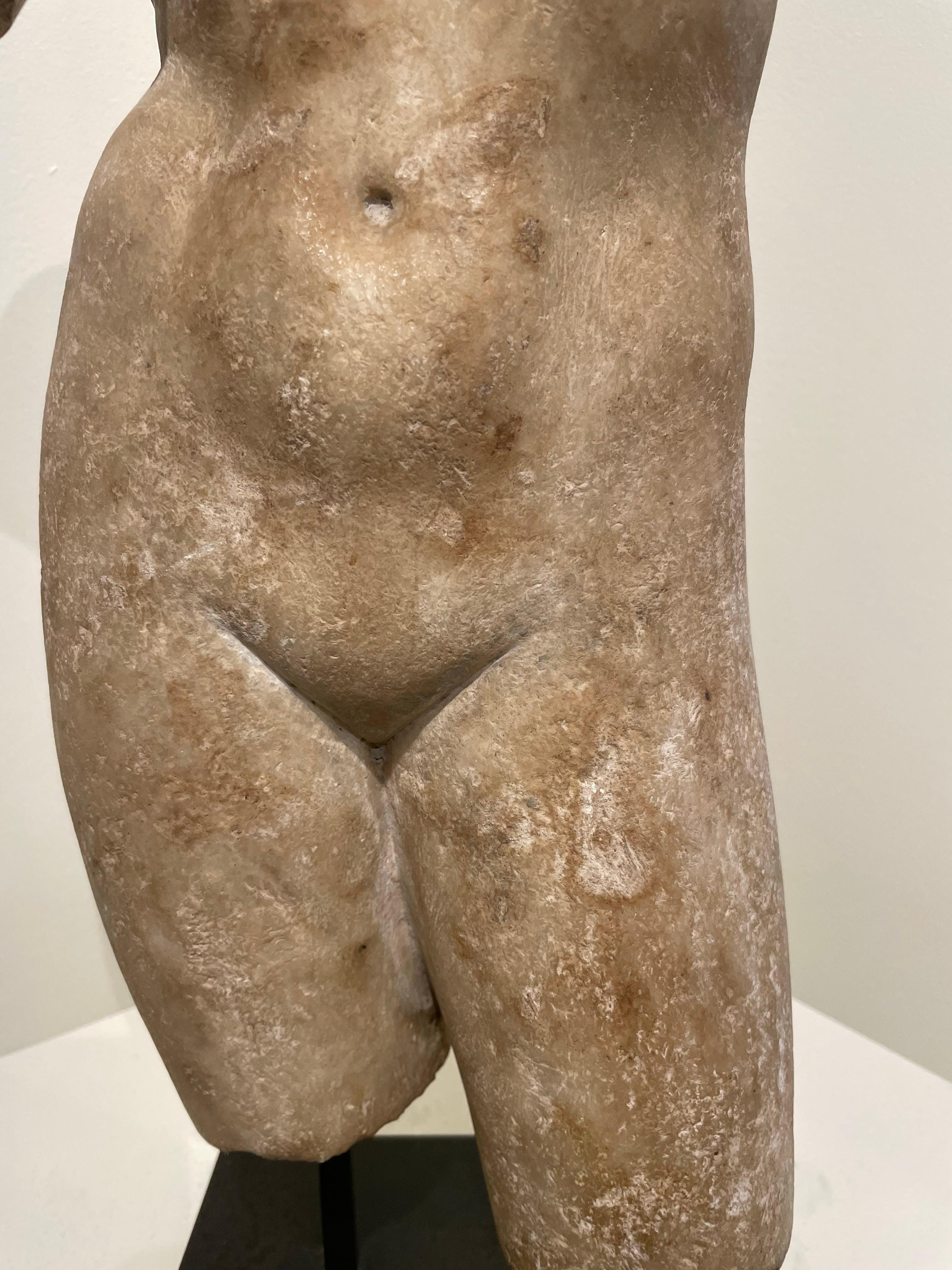 Grand Tour Torso of Aphrodite/Venus After the Antiquity, 19th Century 14