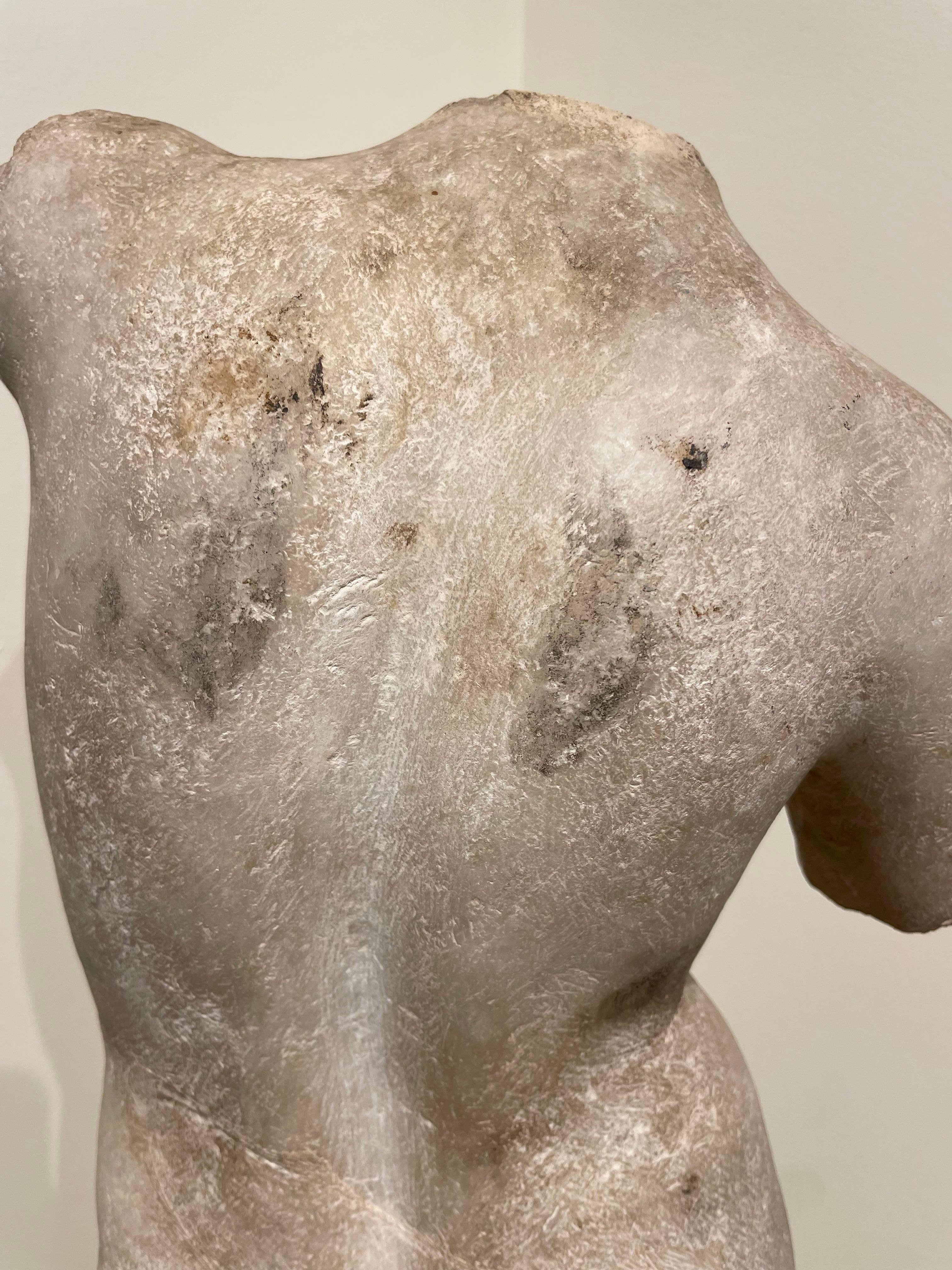 Grand Tour Torso of Aphrodite/Venus After the Antiquity, 19th Century 16