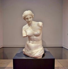 Große italienische neoklassizistische Skulptur Alabaster Torso der Venus Grand Tour