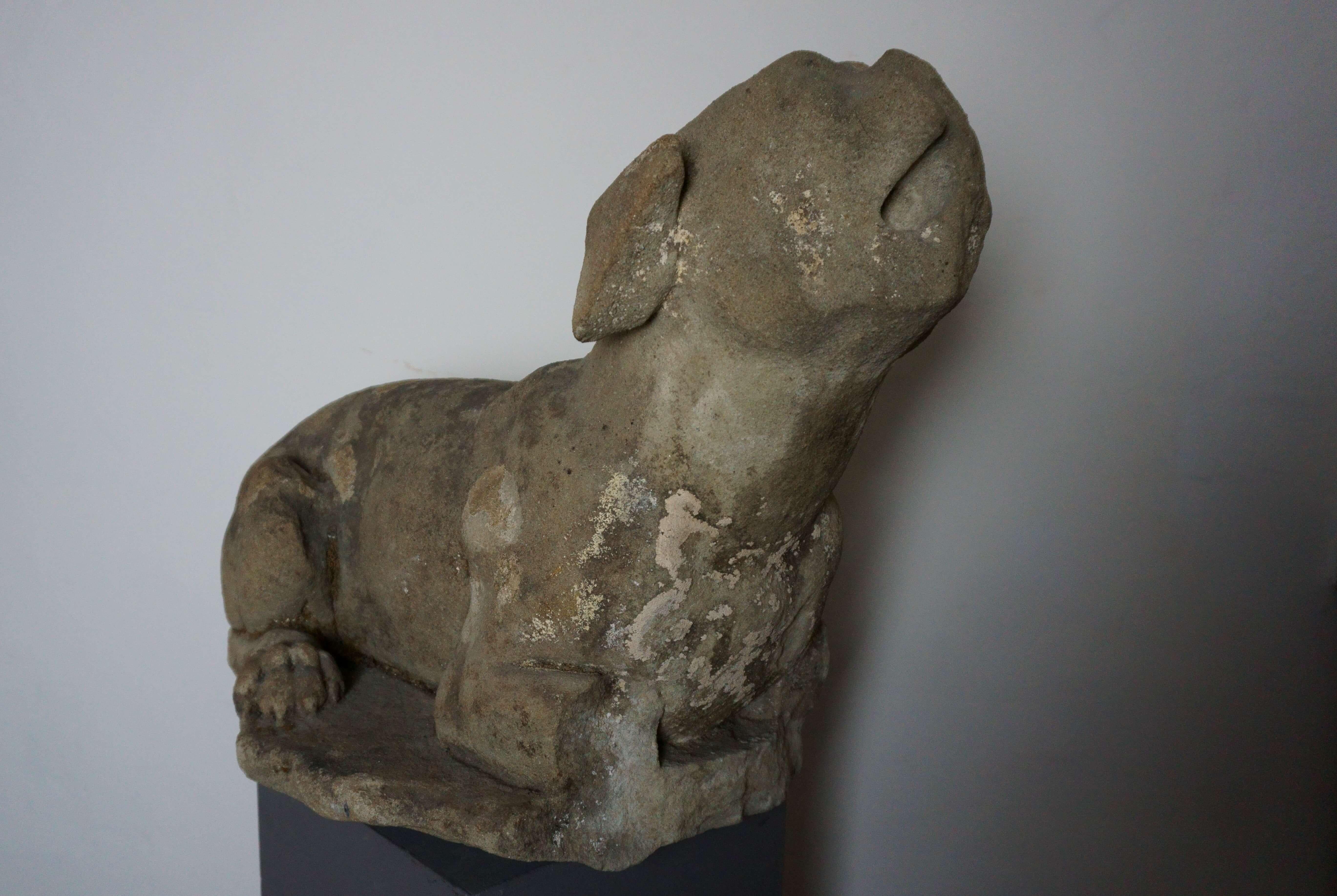 Gran escultura renacentista de lebrel en piedra Florencia siglo XVI en venta 1