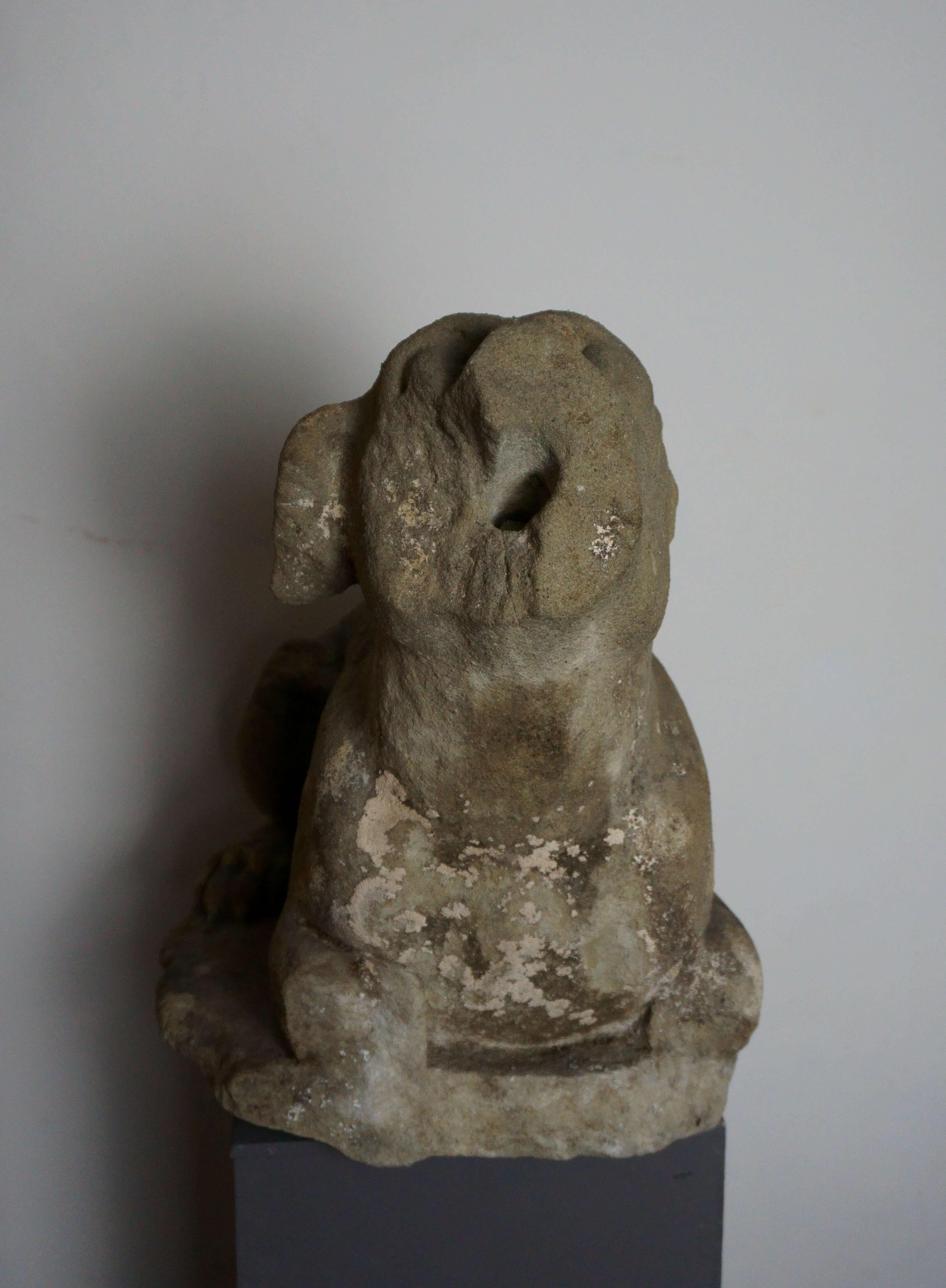 Gran escultura renacentista de lebrel en piedra Florencia siglo XVI en venta 2