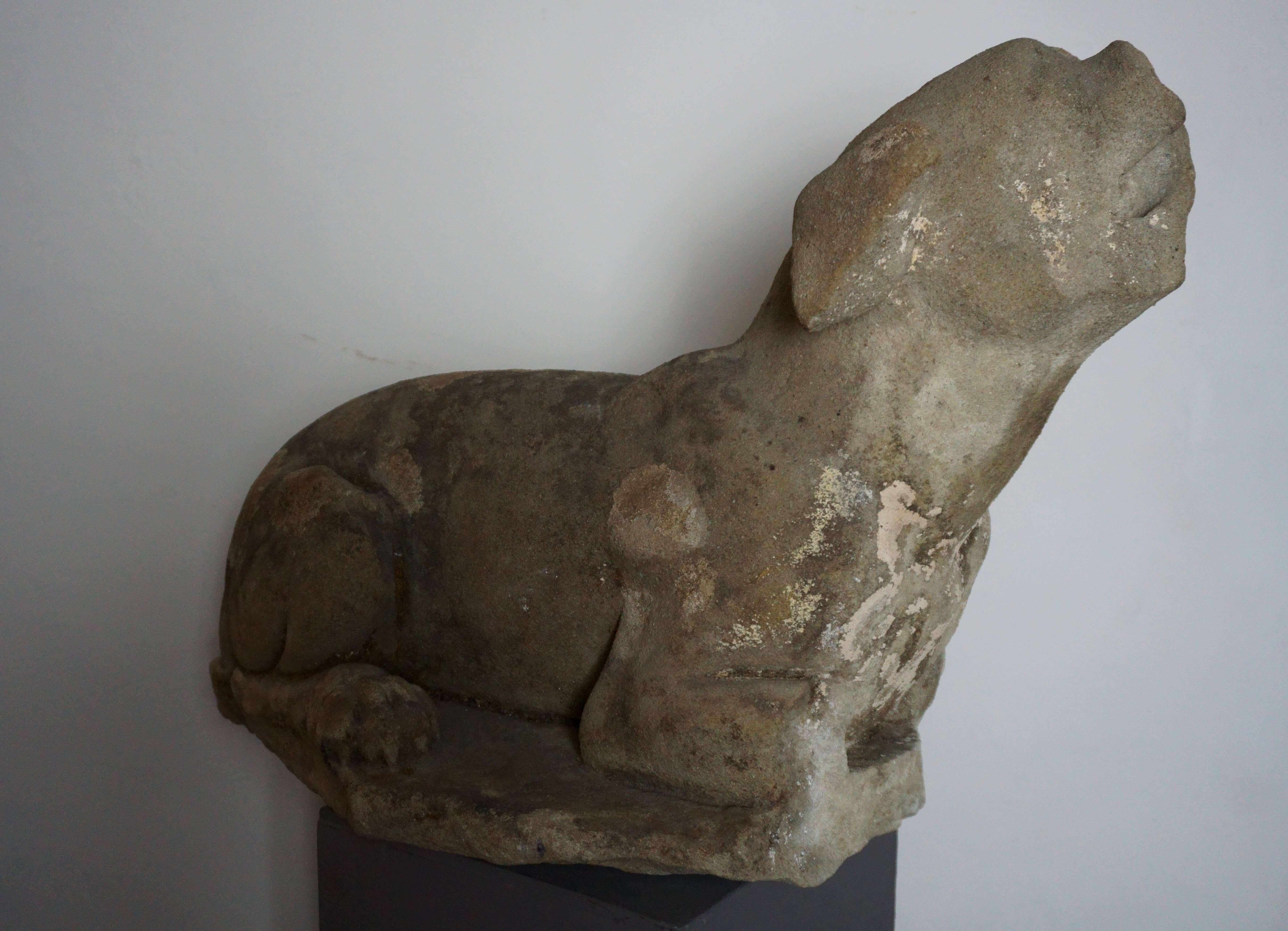 Figurative Sculpture de Unknown - Gran escultura renacentista de lebrel en piedra Florencia siglo XVI