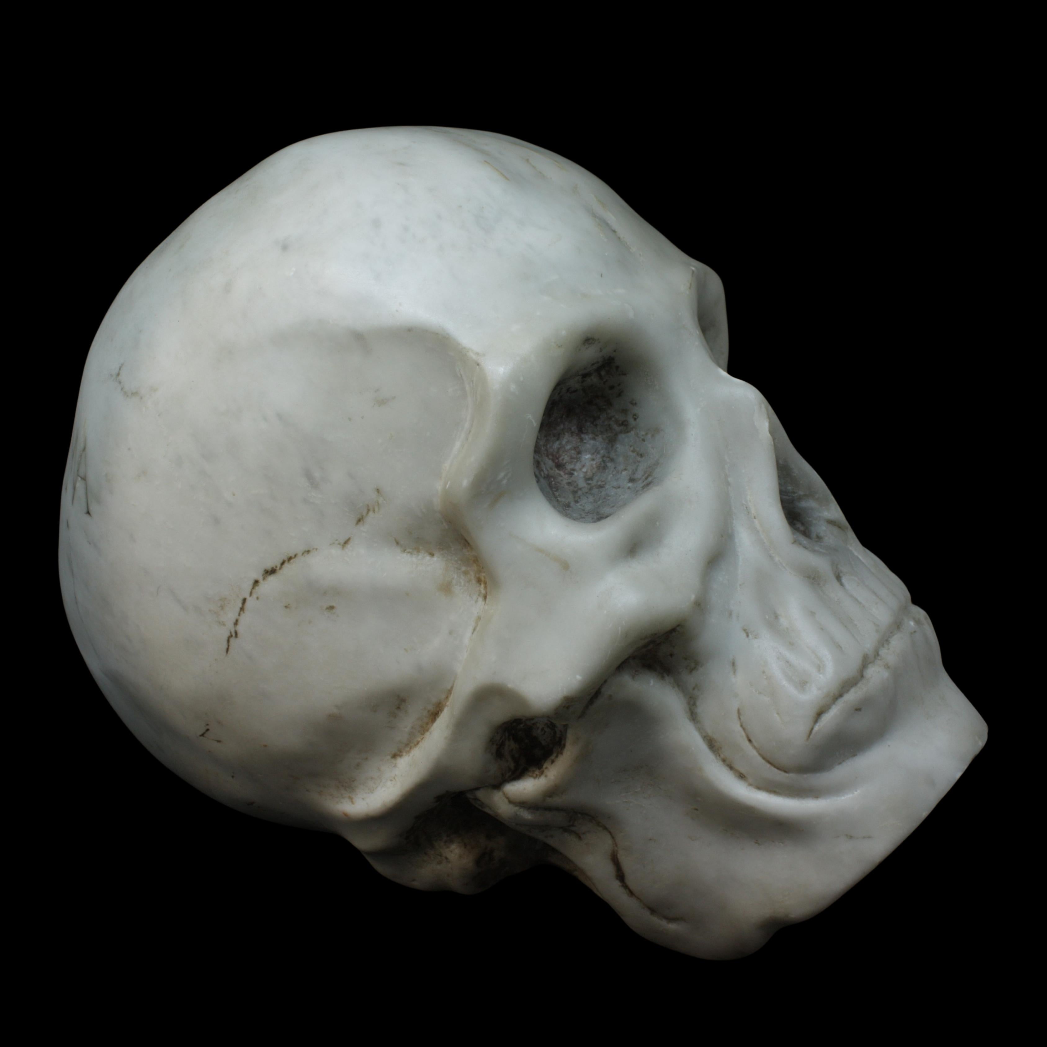 LARGE MARBLE SKULL - Sculpture by Unknown