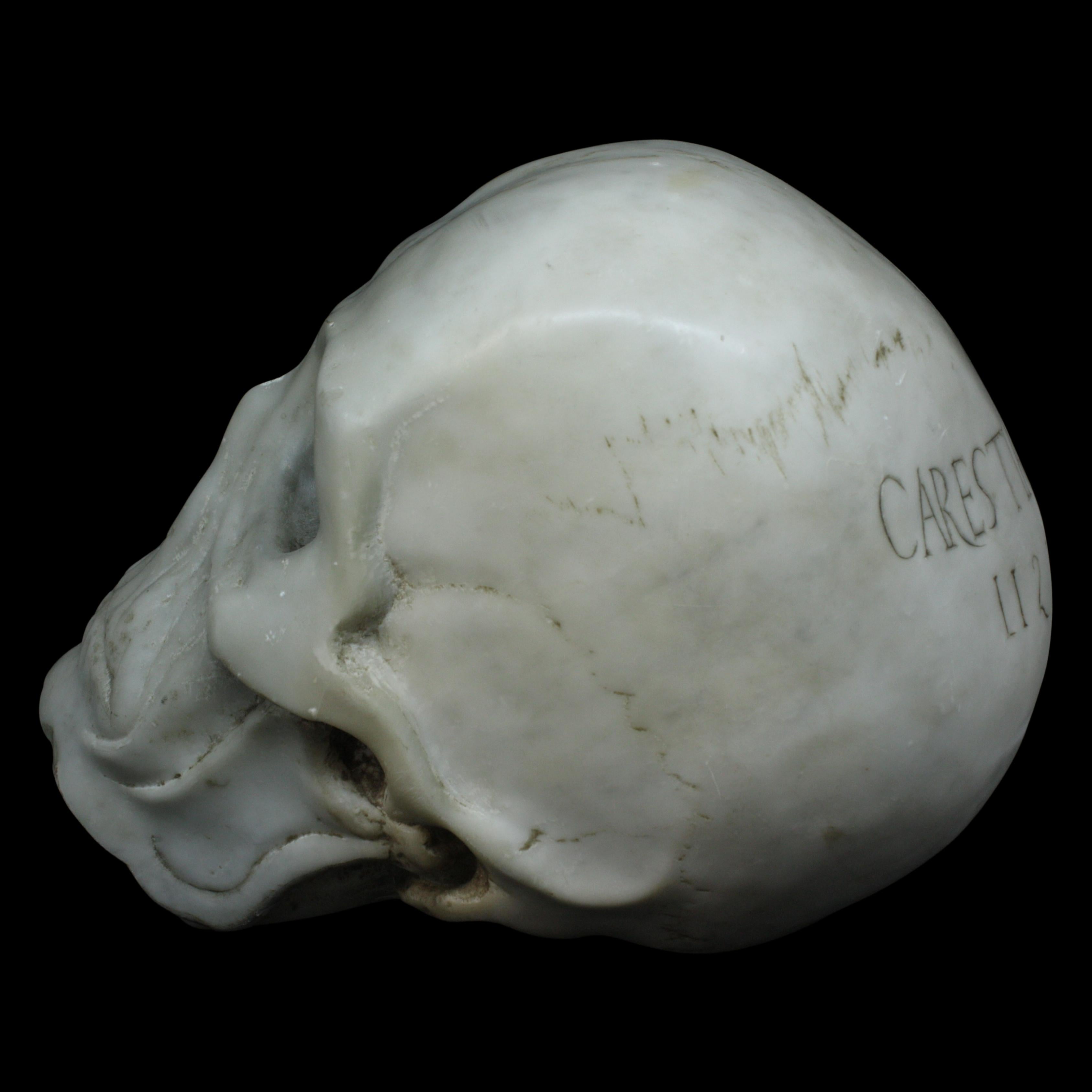 LARGE MARBLE SKULL For Sale 2