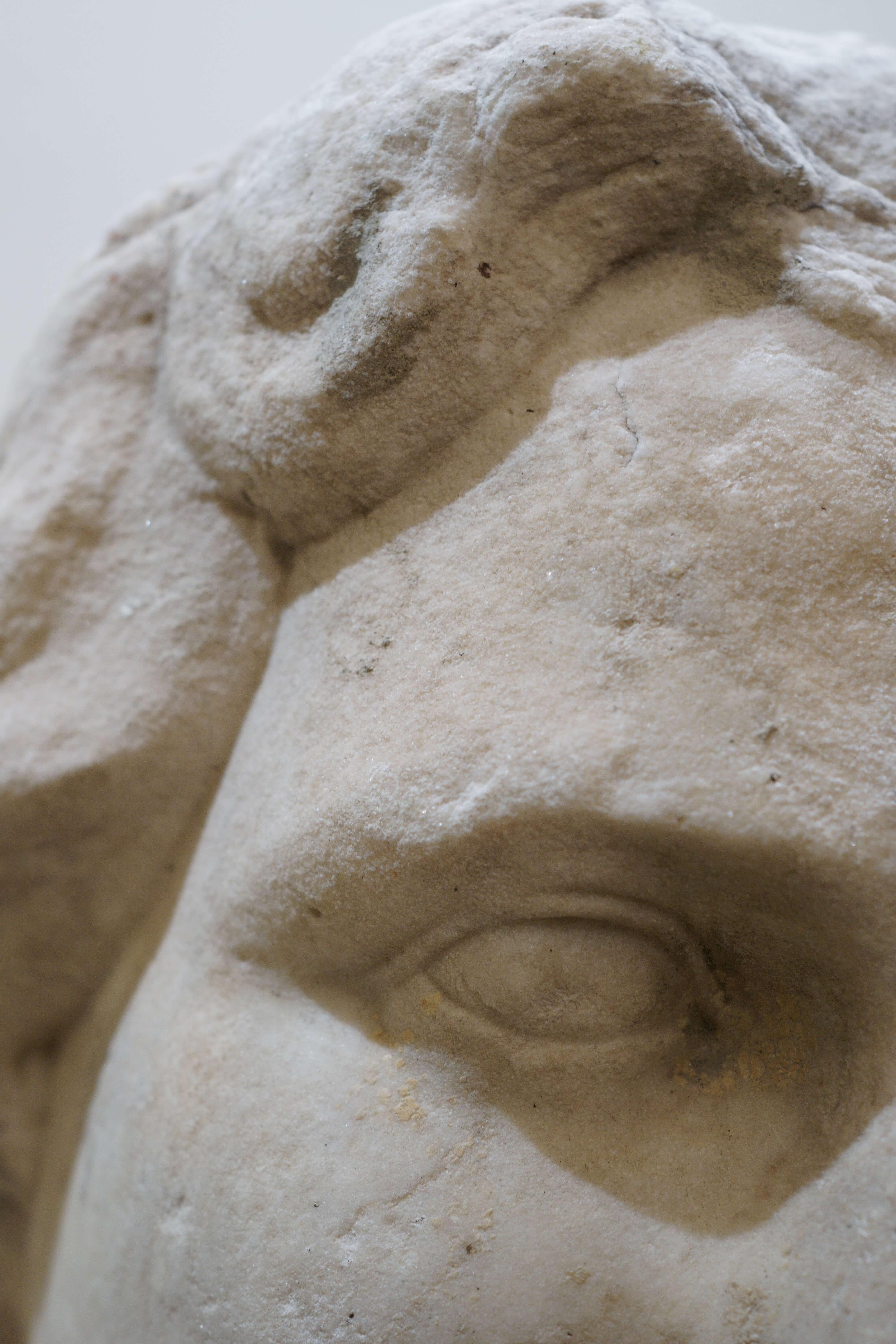 Grande Testa in Marmo bianco di Alessandro Magno Roma XVII secolo Scultura in vendita 5