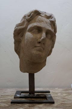 Grande Testa in Marmo bianco di Alessandro Magno Roma XVII secolo Scultura