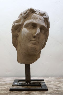 Grande Testa in Marmo bianco di Alessandro Magno Roma XVII secolo Scultura