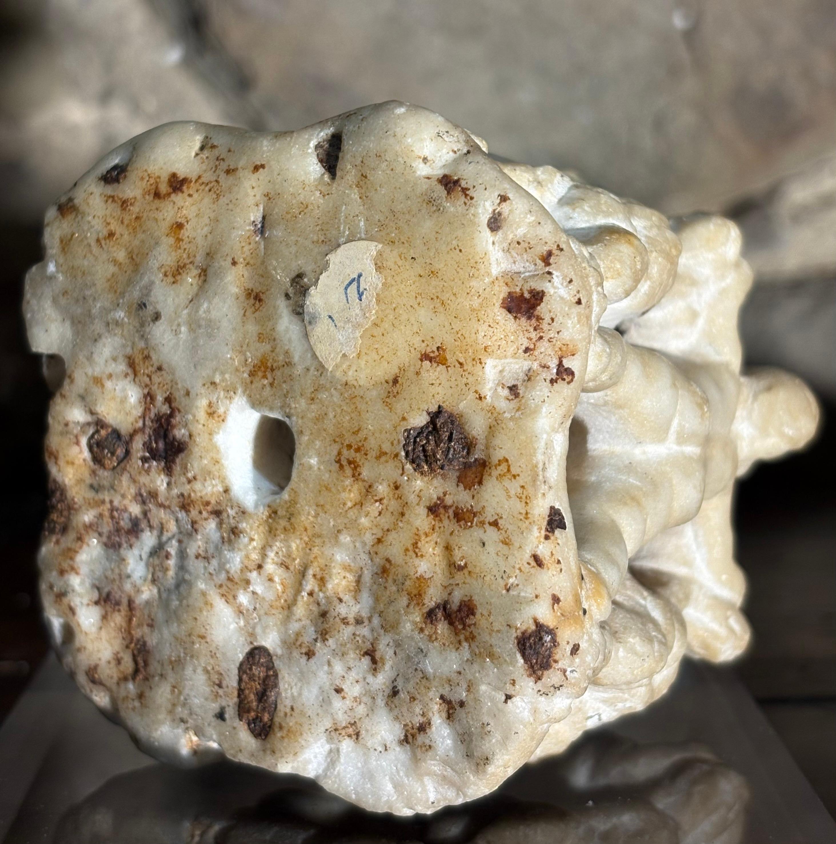 Gruppo in Marmo Allegoria Putti e Leoni Rinascimento Italiano XVI secolo in vendita 7