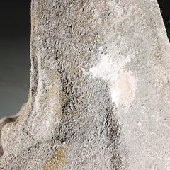 Heraldic Griffin Guardian; full body gargoyle/grotesque beast with shield