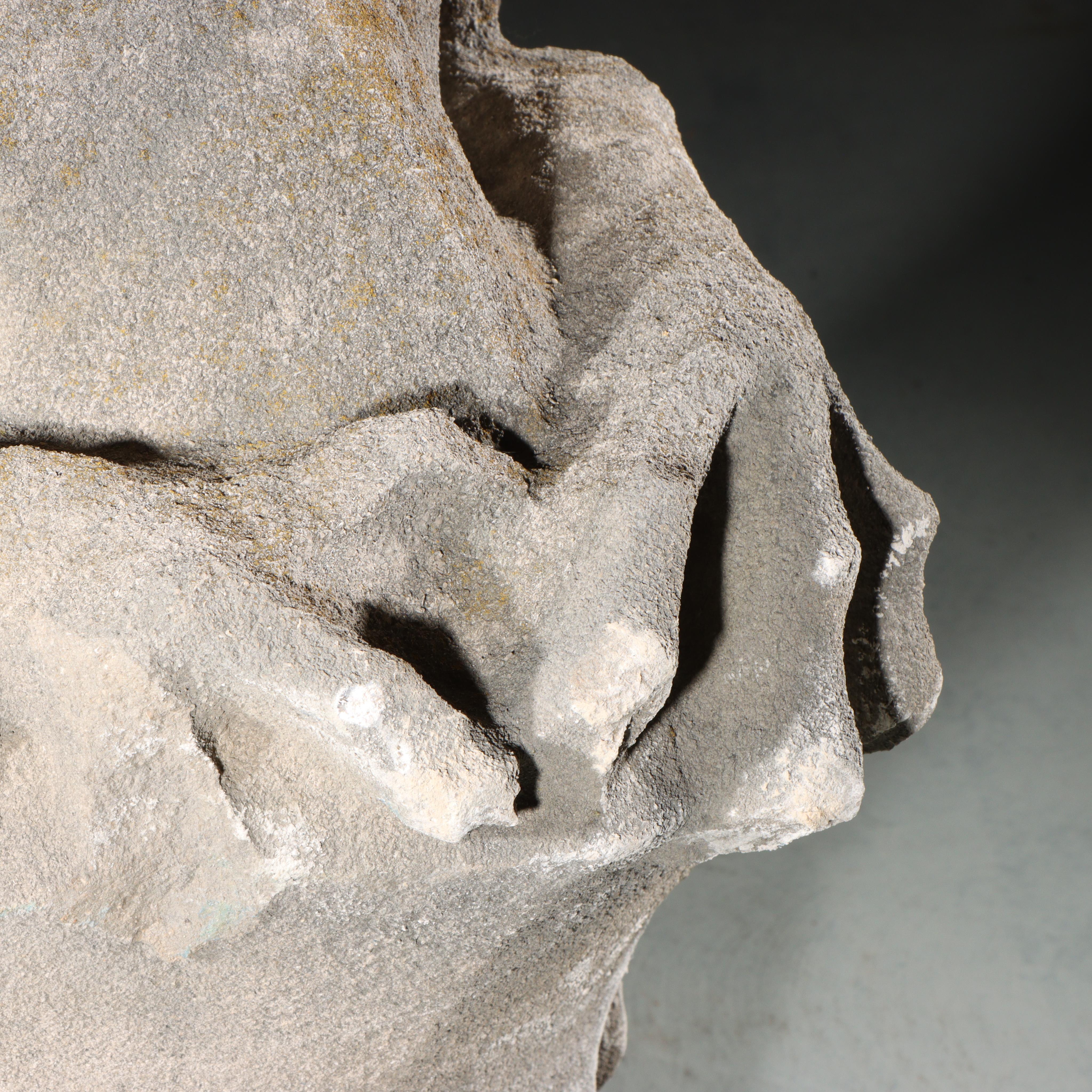 Heraldic Griffin Guardian; full body gargoyle/grotesque beast with shield - Gothic Sculpture by Unknown
