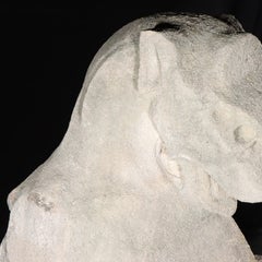 Heraldic Lion Guardian; full body gargoyle/grotesque beast with shield