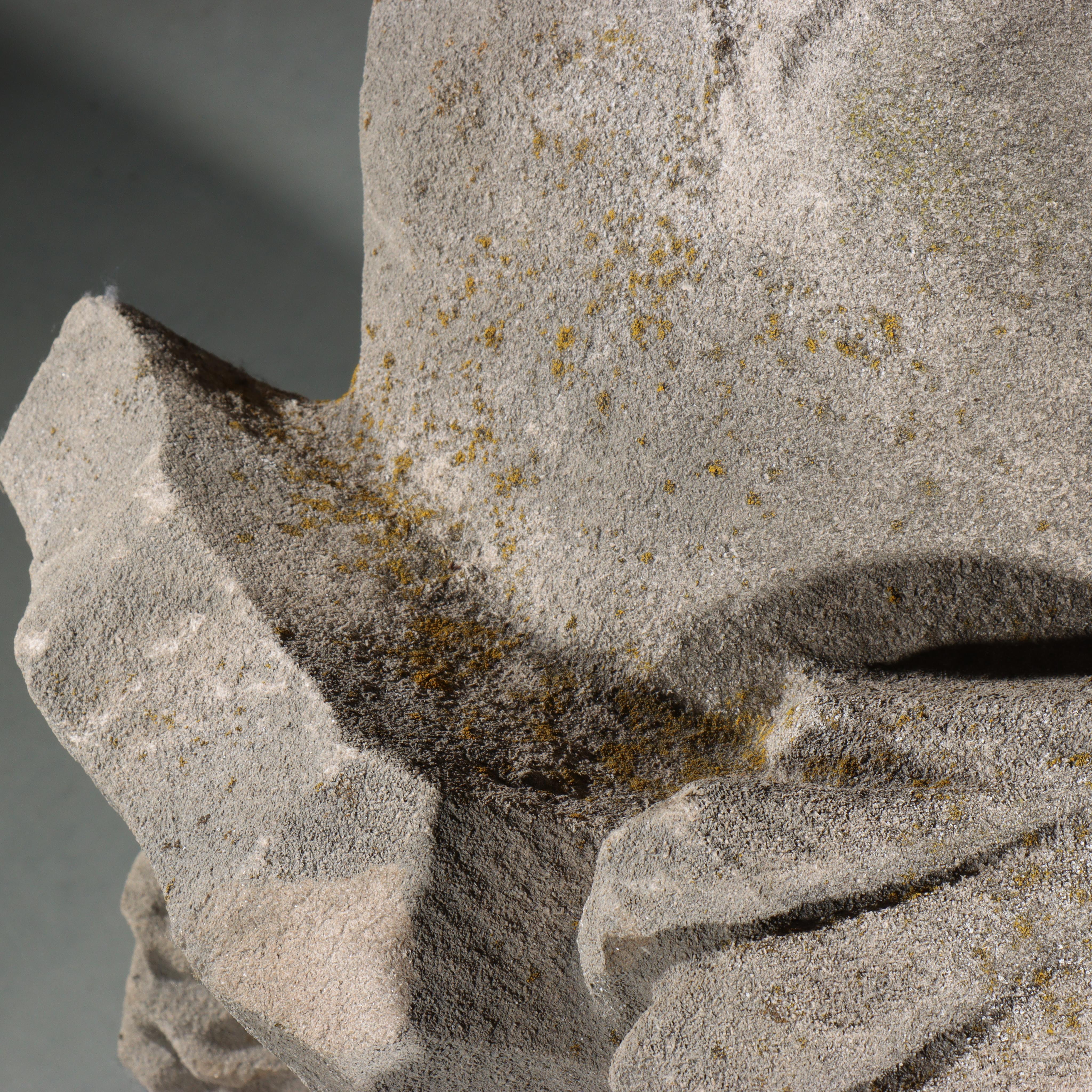 Heraldischer Löwenwächter; Ganzkörper-Gargoyle/groteske Bestie mit Schild (Schwarz), Figurative Sculpture, von Unknown