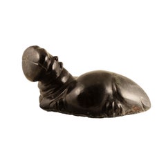 Hippopotamus