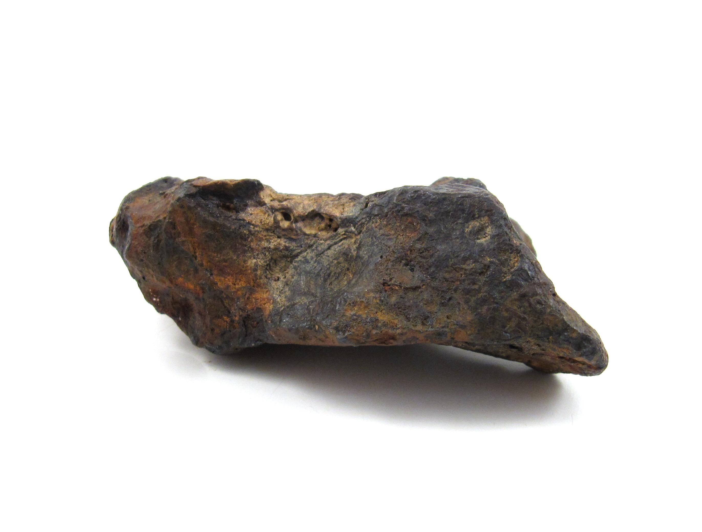 Meteorite Twannberg 128 grammes en forme de fer hexahedrite suisse façonné par la nature TW 1253  en vente 10