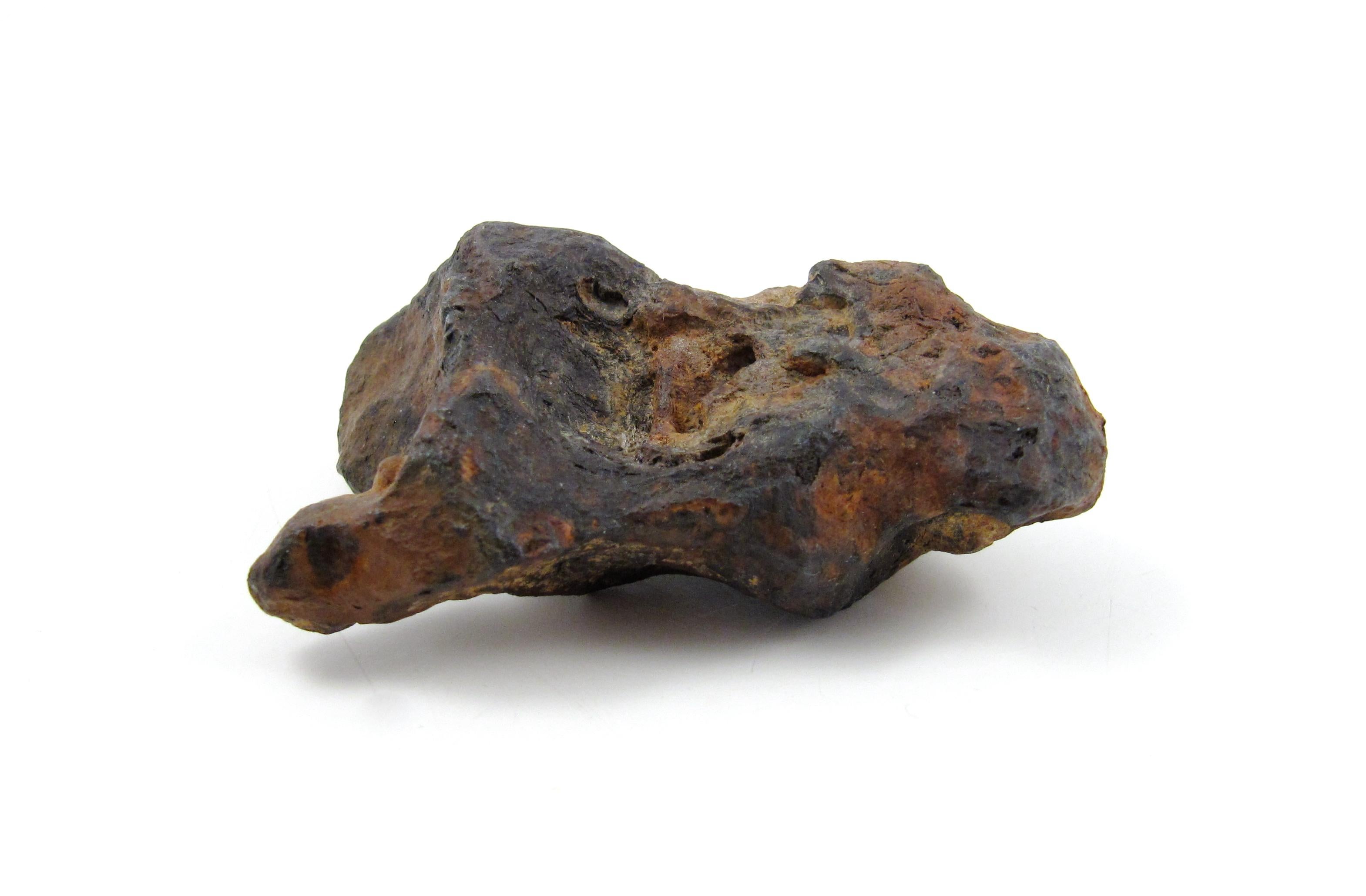 Meteorite Twannberg 128 grammes en forme de fer hexahedrite suisse façonné par la nature TW 1253  en vente 12