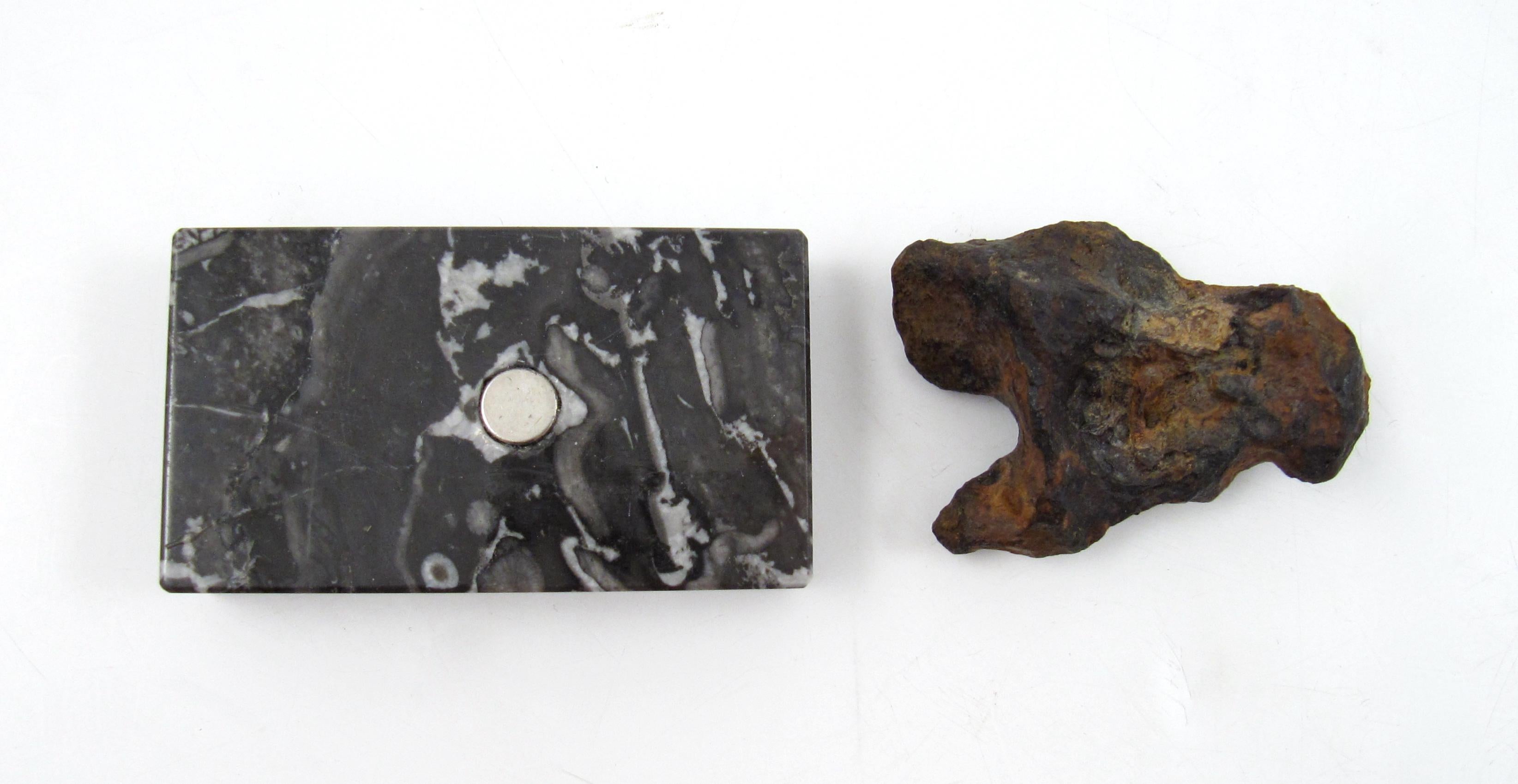 Meteorite Twannberg 128 grammes en forme de fer hexahedrite suisse façonné par la nature TW 1253  en vente 15
