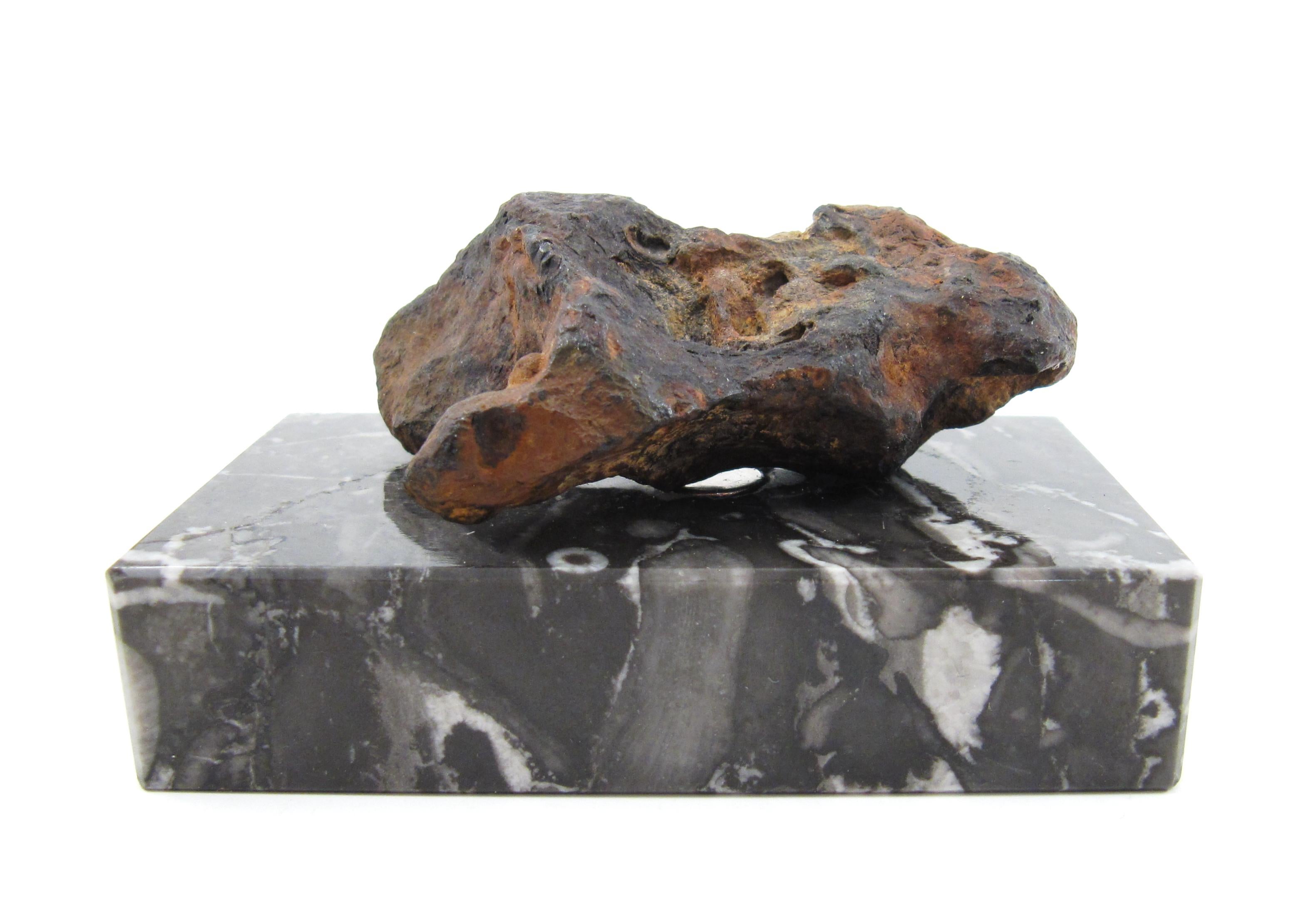 Une sculpture en fer naturelle façonnée par la nature

La météorite sculptée est présentée sur un bloc de marbre flammé noir et blanc poli et maintenue en place par un aimant puissant. Le spécimen peut être retiré ou positionné au gré du