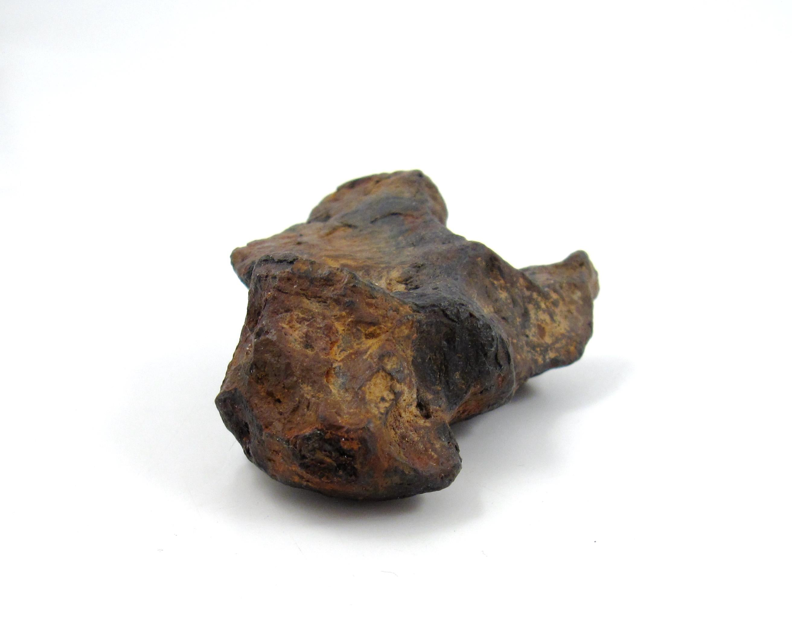 Meteorite Twannberg 128 grammes en forme de fer hexahedrite suisse façonné par la nature TW 1253  en vente 6