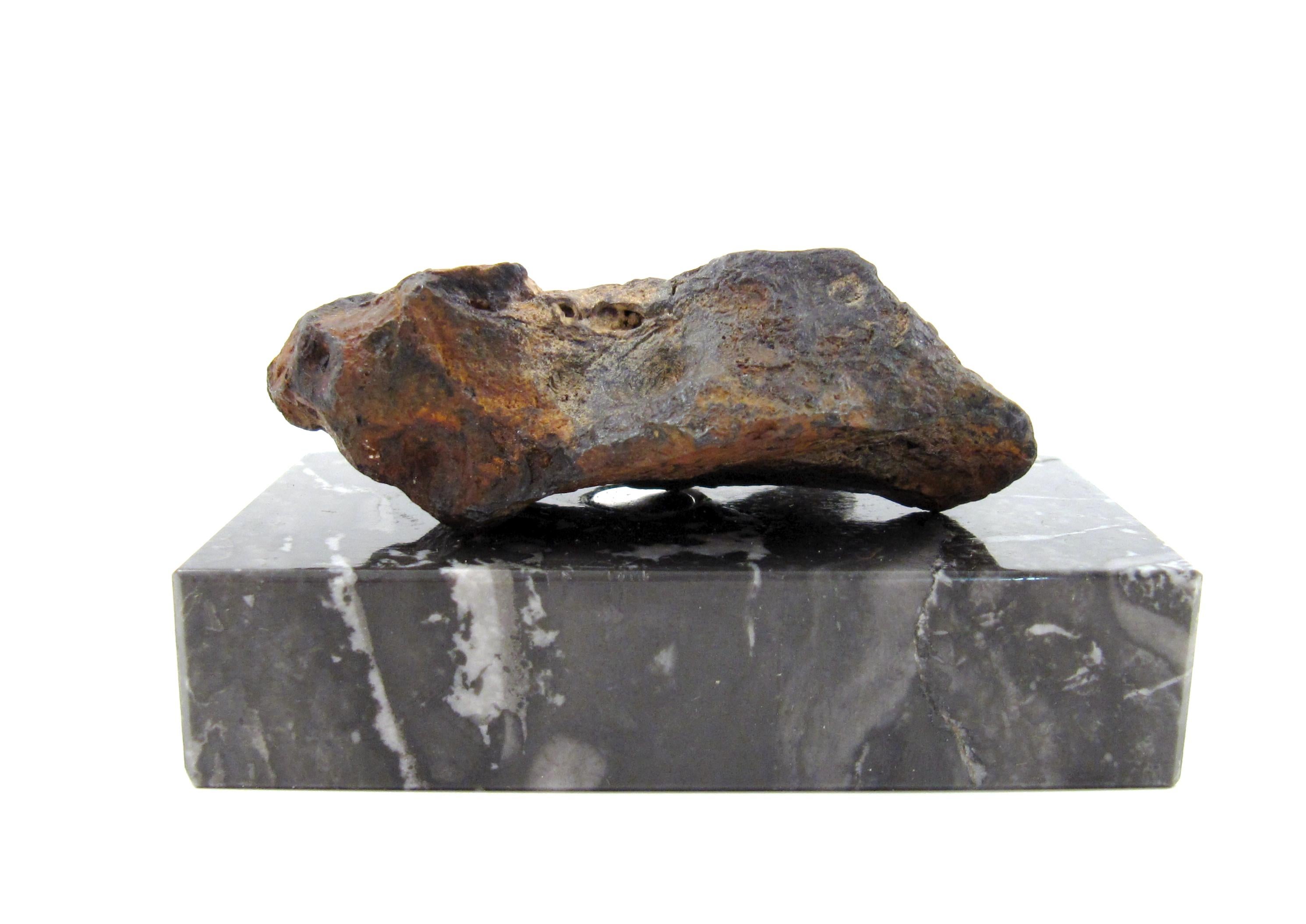 Meteorite Twannberg 128 gramms Swiss Hexahedrite Iron Shaped by Nature TW 1253  - Art by Unknown