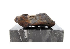 Antique Meteorite Twannberg 128 gramms Swiss Hexahedrite Iron Shaped by Nature TW 1253 