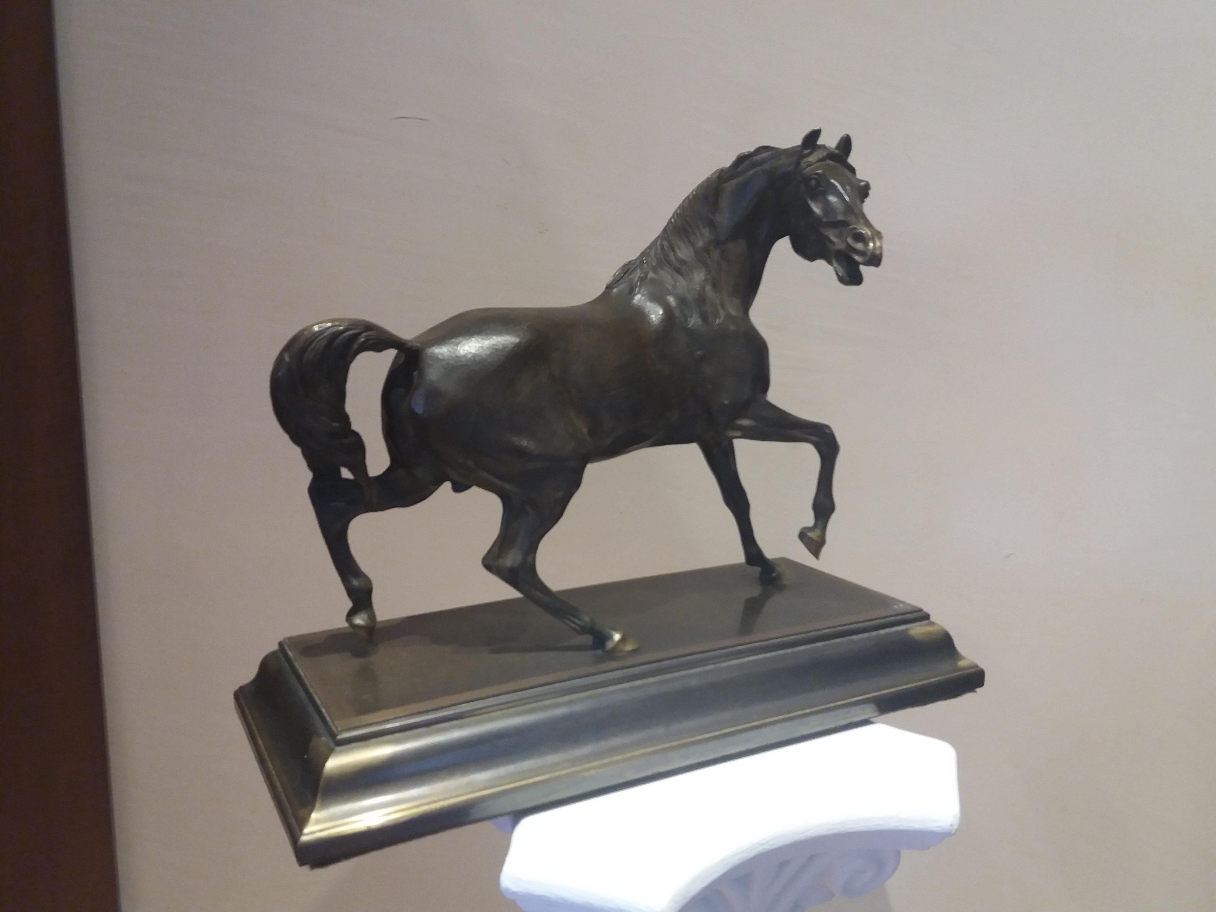  cheval.  19ème siècle    sculpture en bronze - Sculpture de Unknown