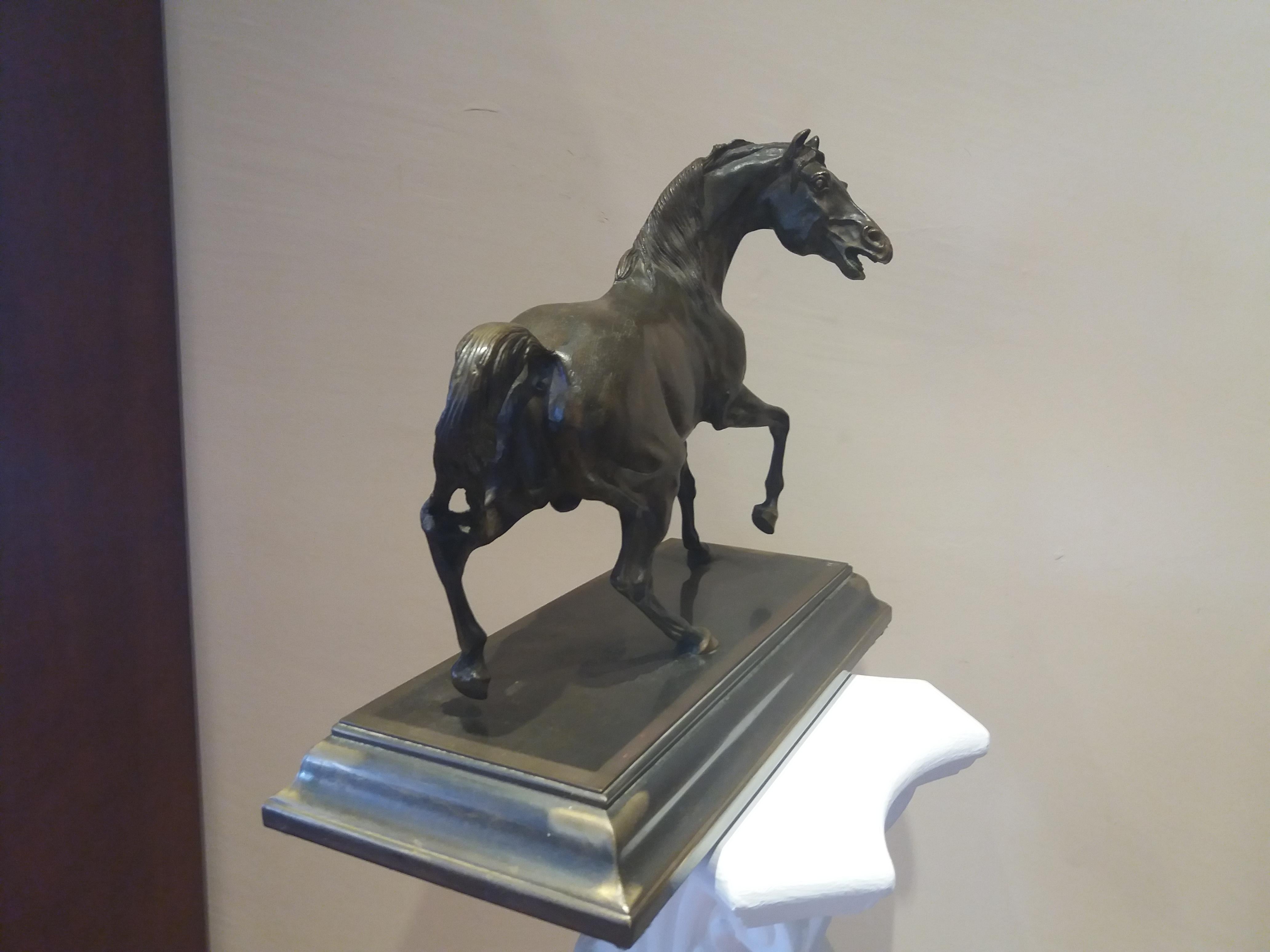  horse. 19th century bronze sculpture - Art Nouveau Sculpture by Unknown
